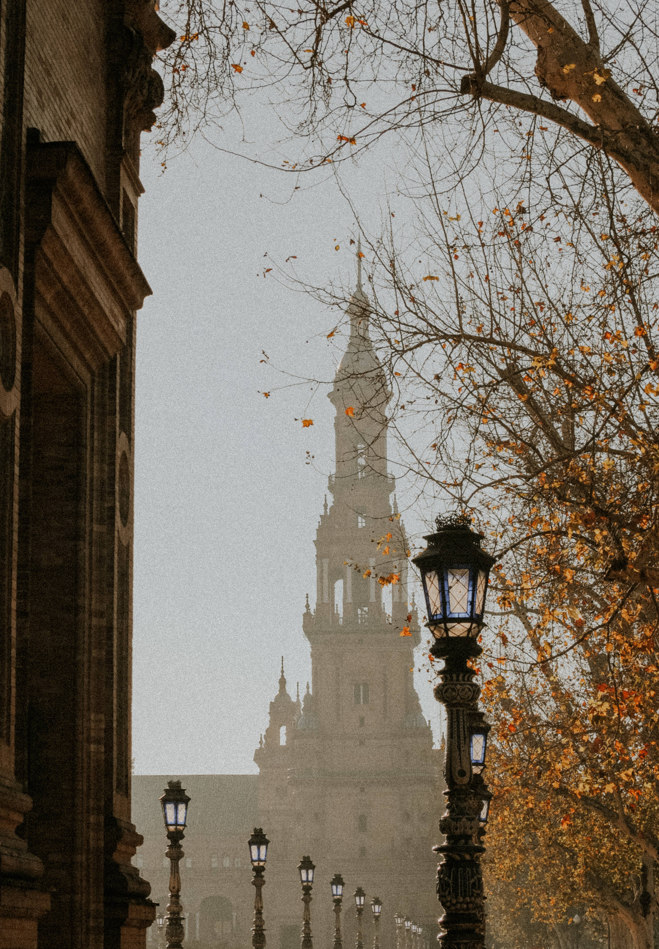 Seville, street lamp, autumn, 2K Phone Wallpaper