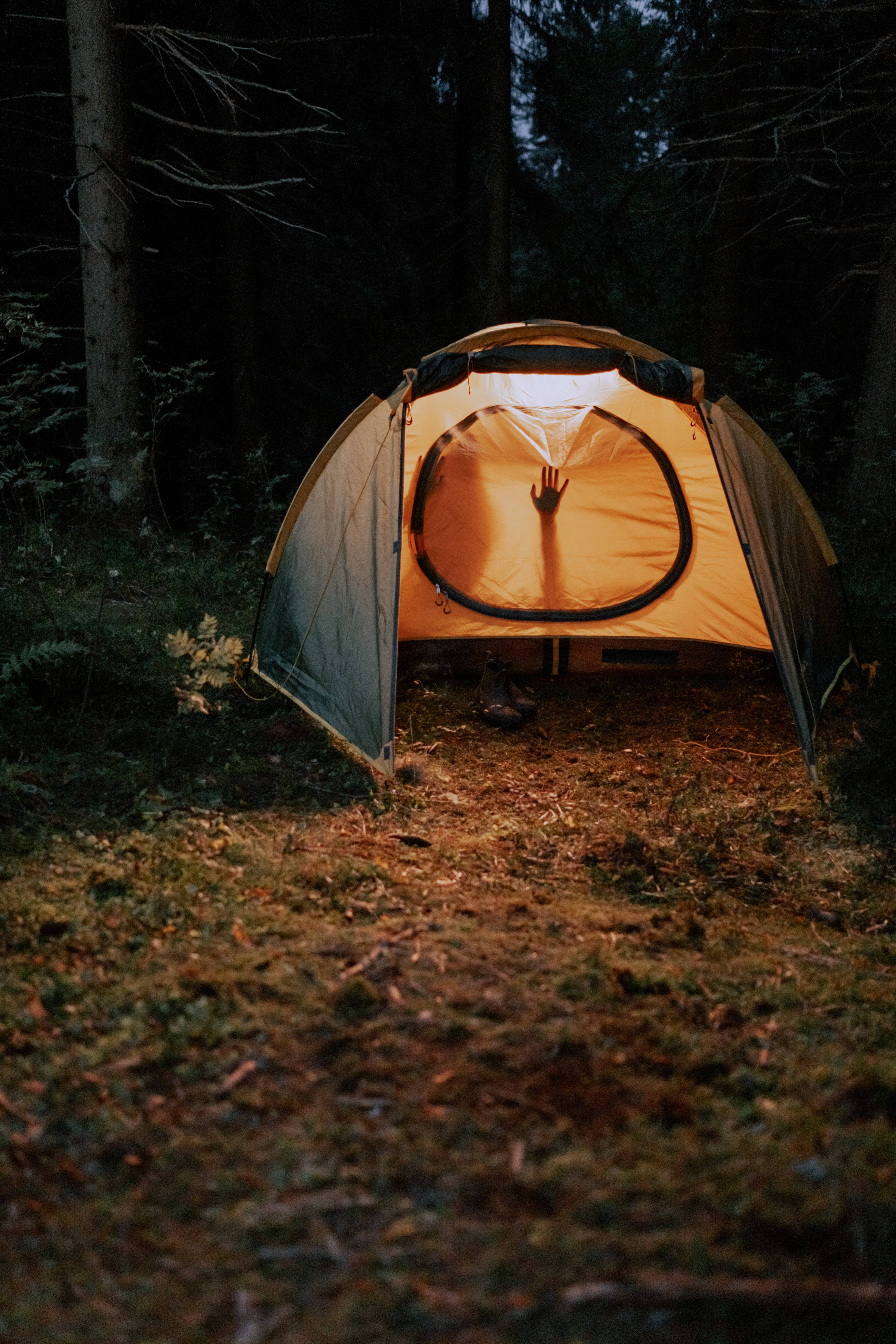 glowing orange tent, dark forest, night, 5K Phone Wallpaper