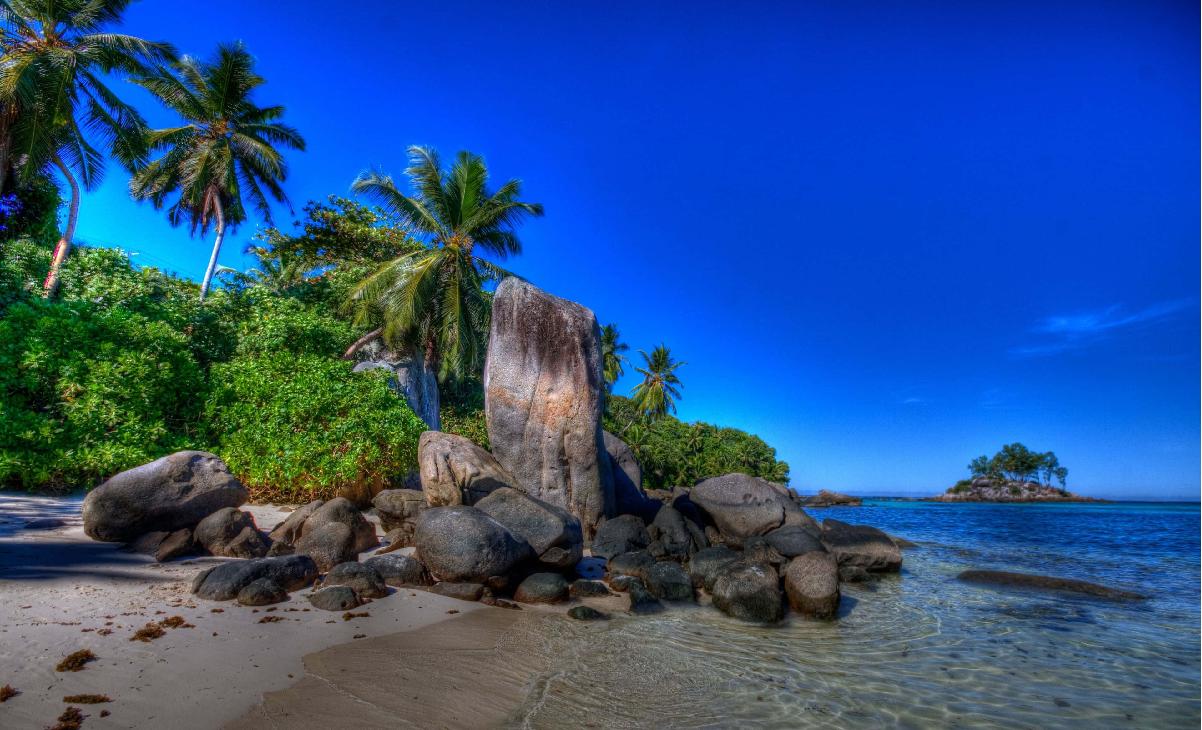 Seychelles Beach, palm trees, giant boulders, 4K Desktop Wallpaper