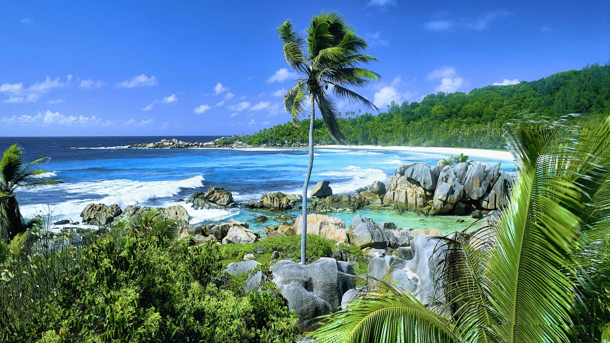 Seychelles Beach, turquoise waters, gray rocks, 2K Desktop Wallpaper