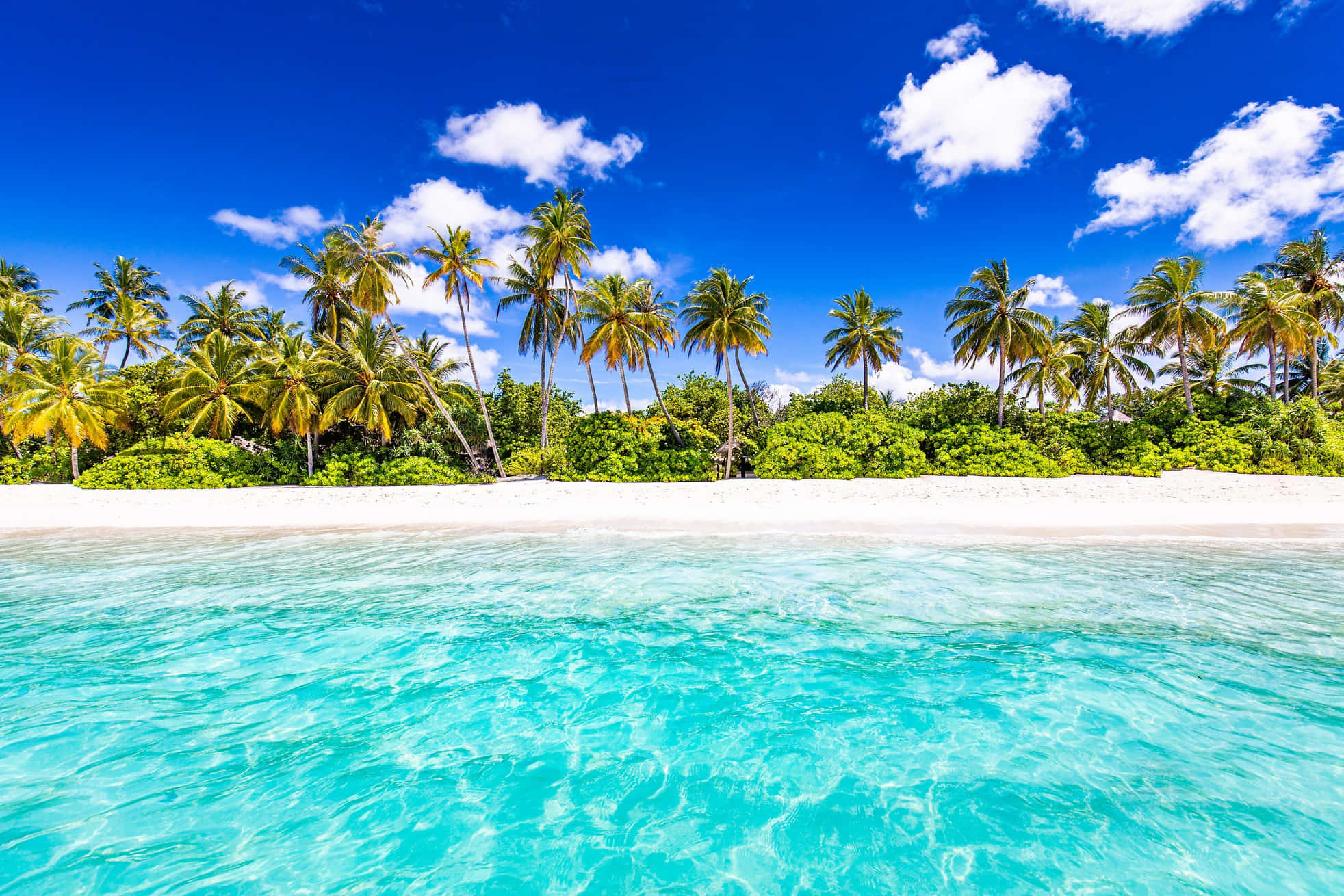 Seychelles Beach, turquoise water, white sand beach, Full HD Desktop Wallpaper