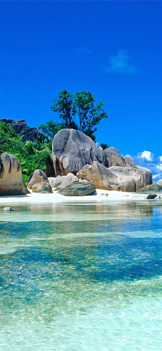 Seychelles Beach, turquoise water, white sand beach, HD Phone Wallpaper