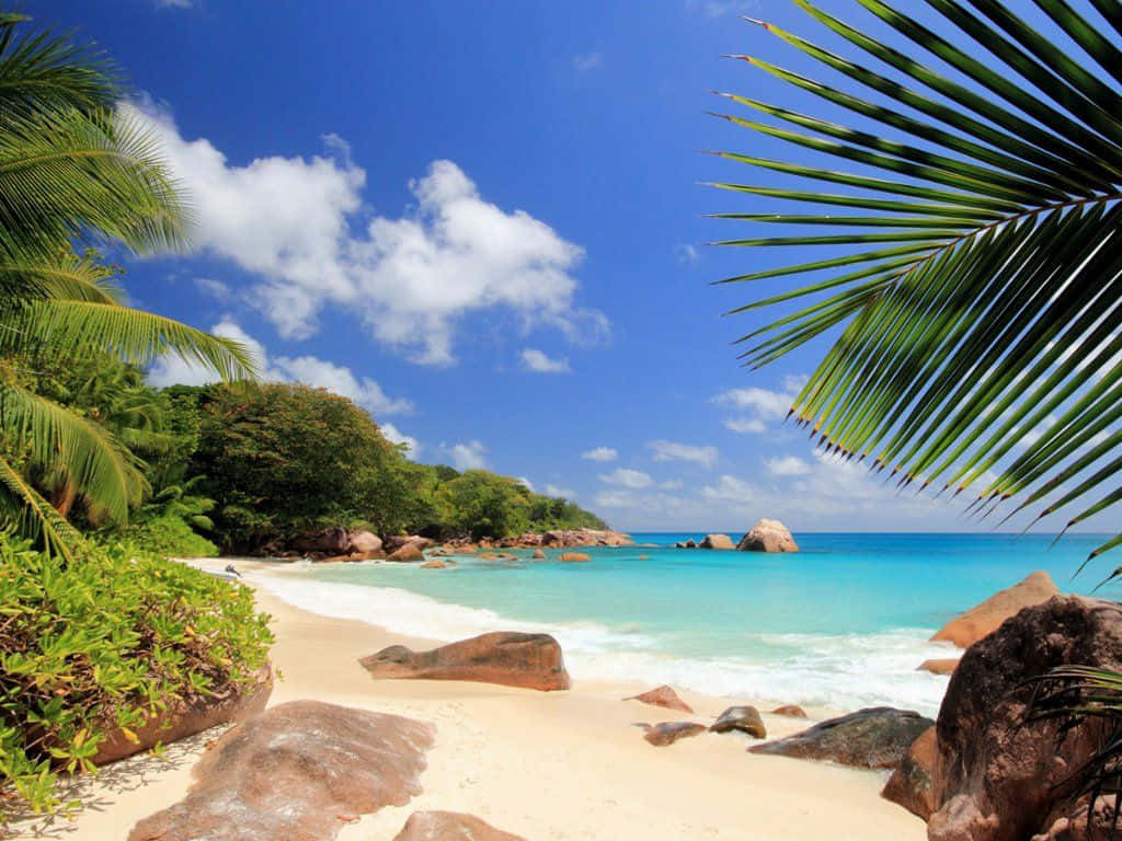 Seychelles Beach, turquoise waters, white sand, SD Desktop Wallpaper