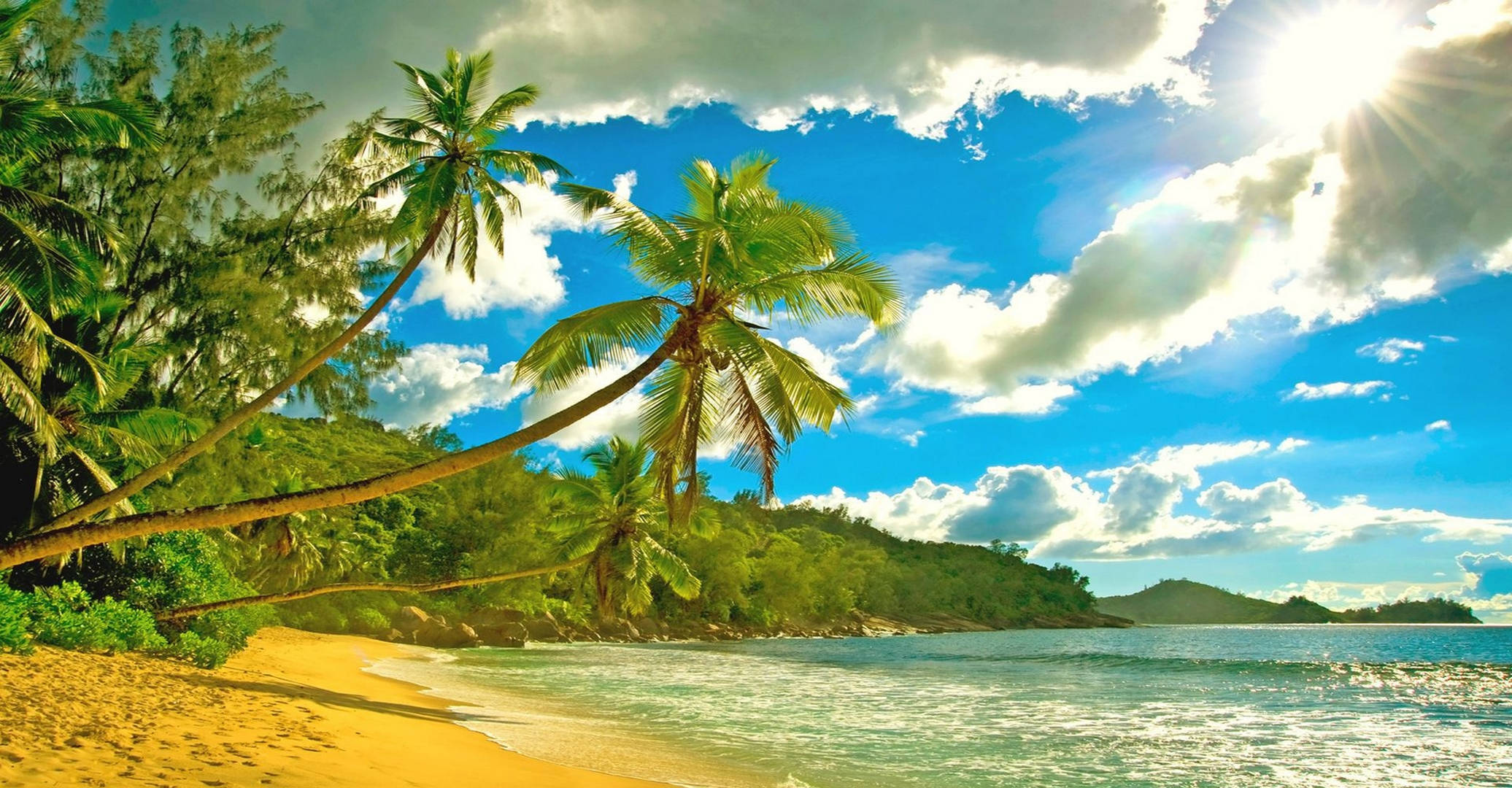 Seychelles, tropical palm beach, golden beach, Full HD Desktop Wallpaper