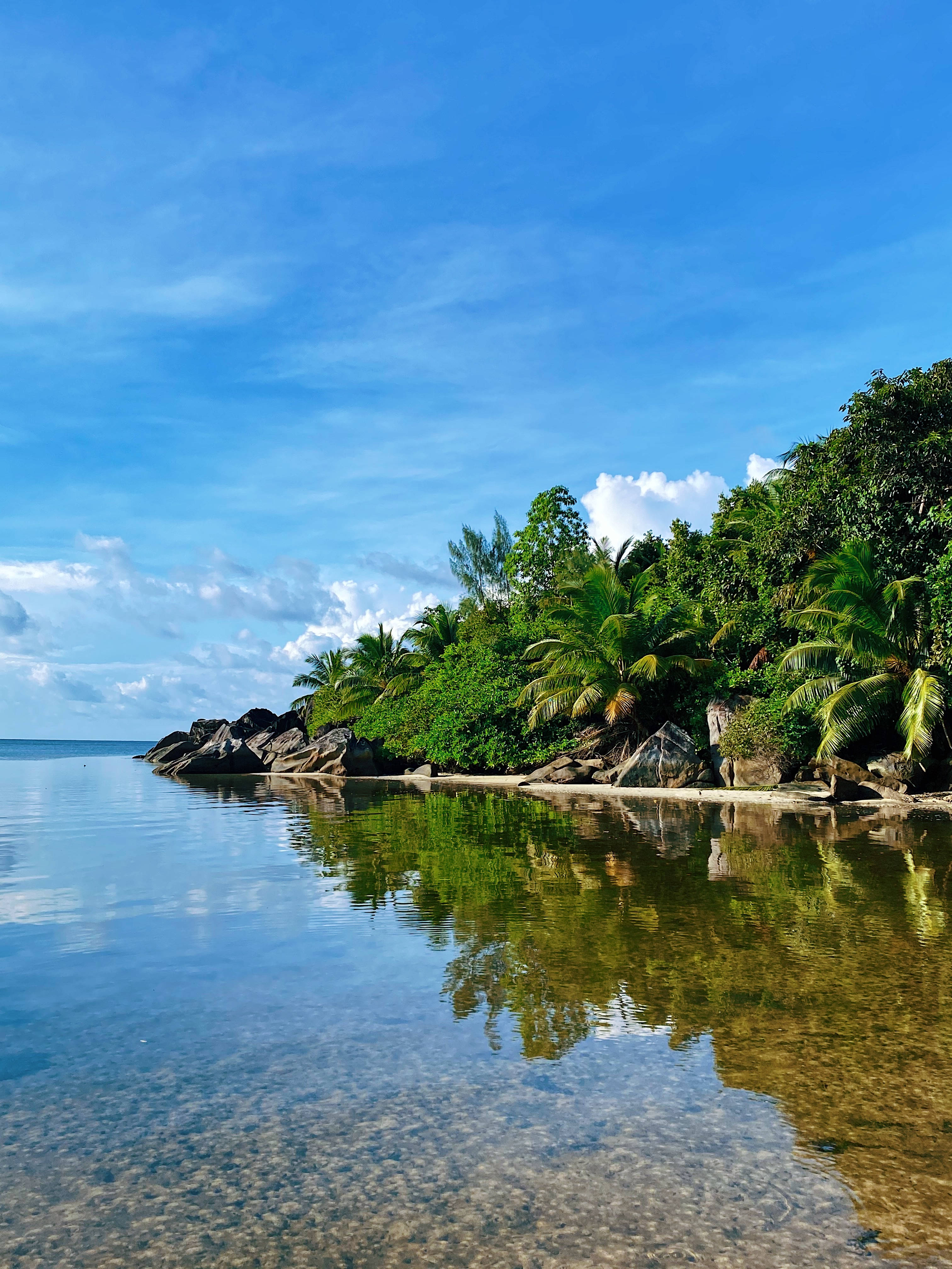 Seychelles, turquoise water, palm trees, 4K Phone Wallpaper