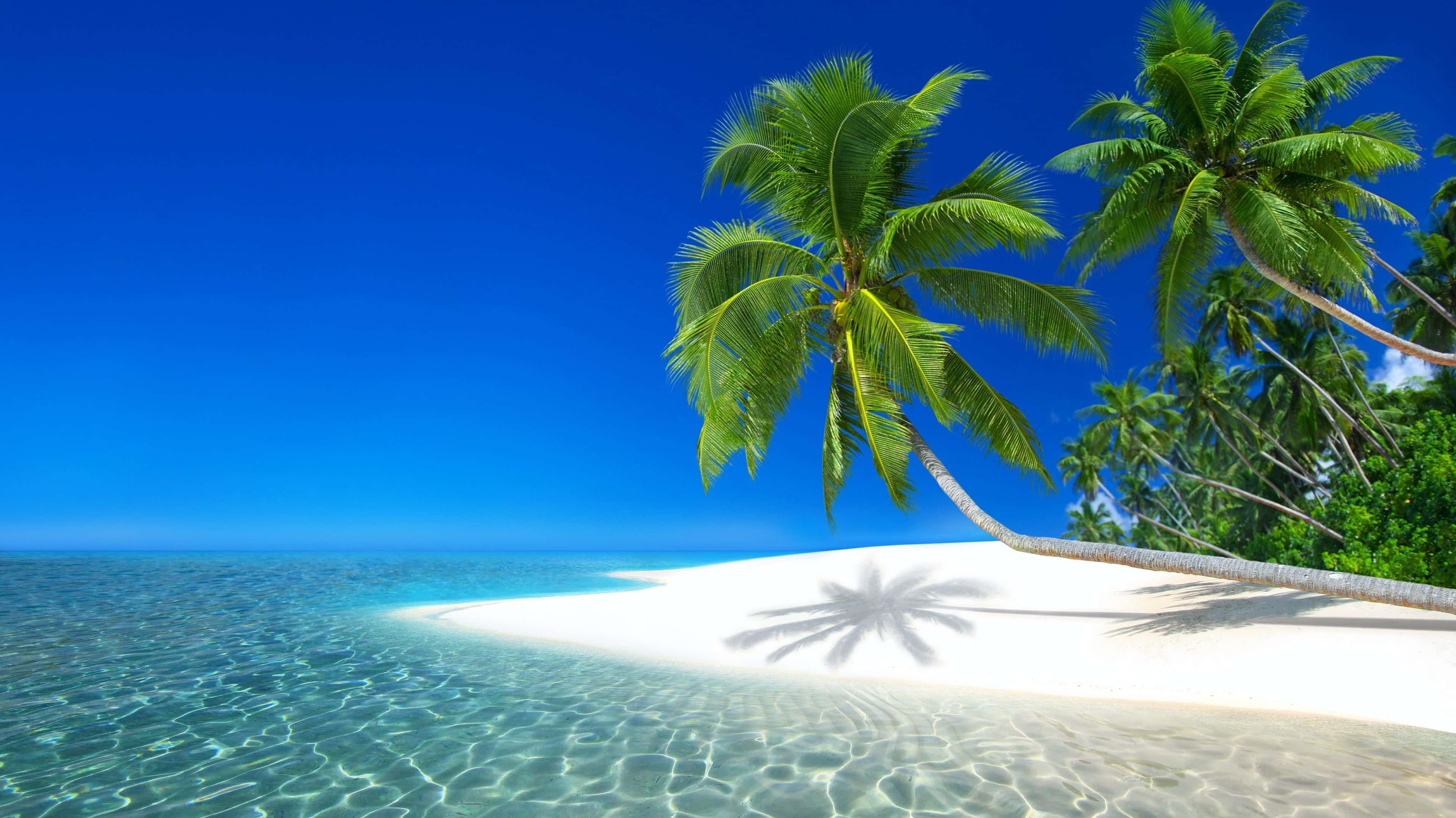 Seychelles, white sand, turquoise water, 4K Desktop Wallpaper