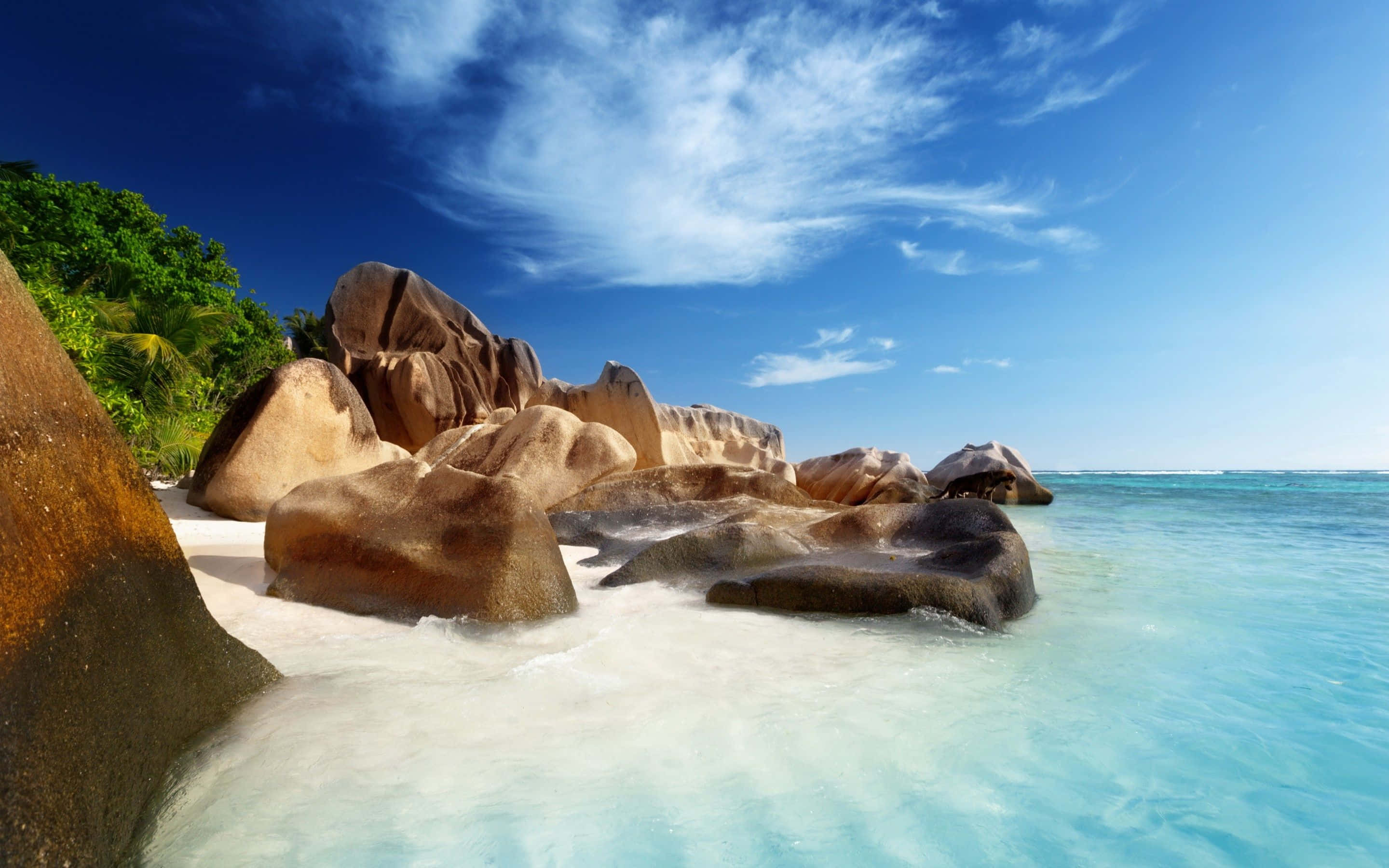 Seychelles, beach, white sand beach, 2K Desktop Wallpaper
