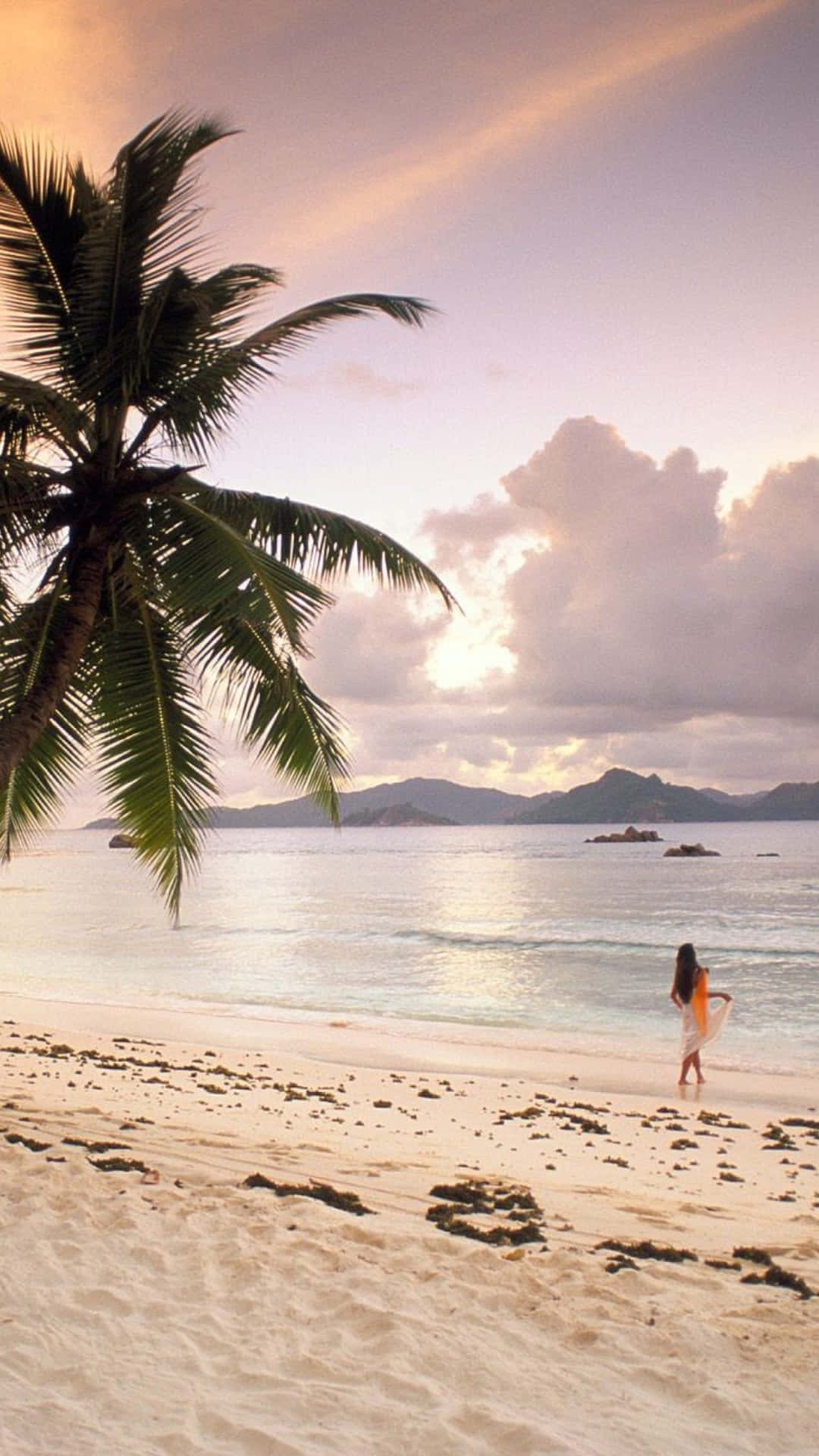 Seychelles, pristine white sand beach, palm tree, Full HD Phone Wallpaper