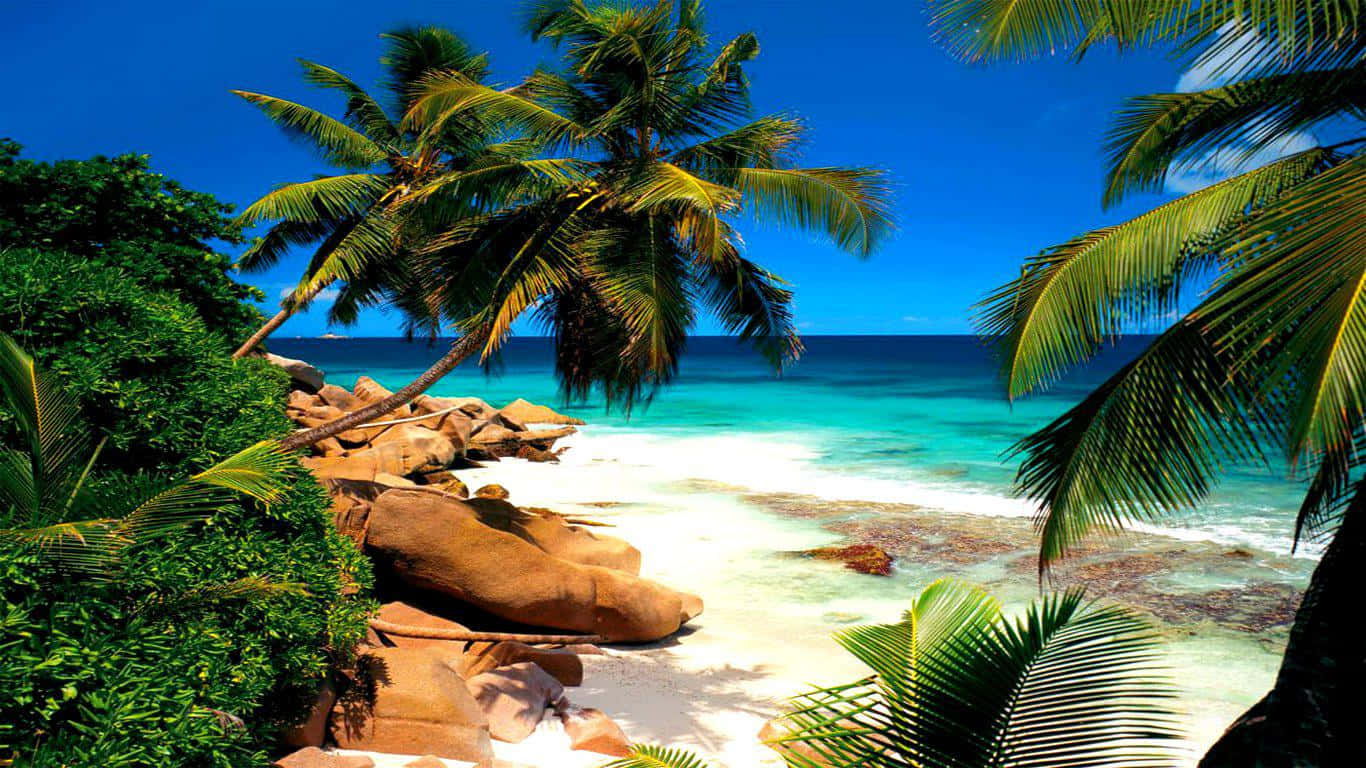 Seychelles, turquoise waters, white sand, HD Desktop Wallpaper