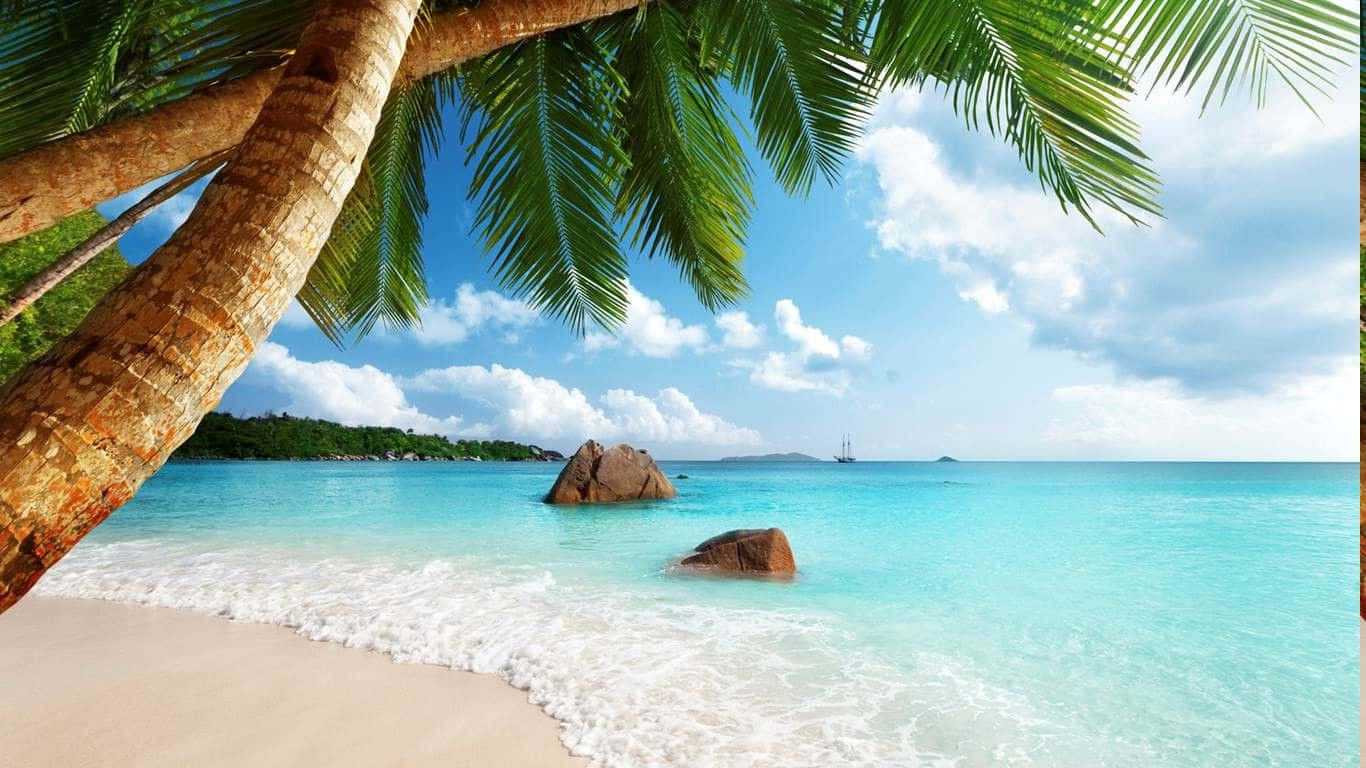 Seychelles, turquoise waters, white sand, HD Desktop Wallpaper