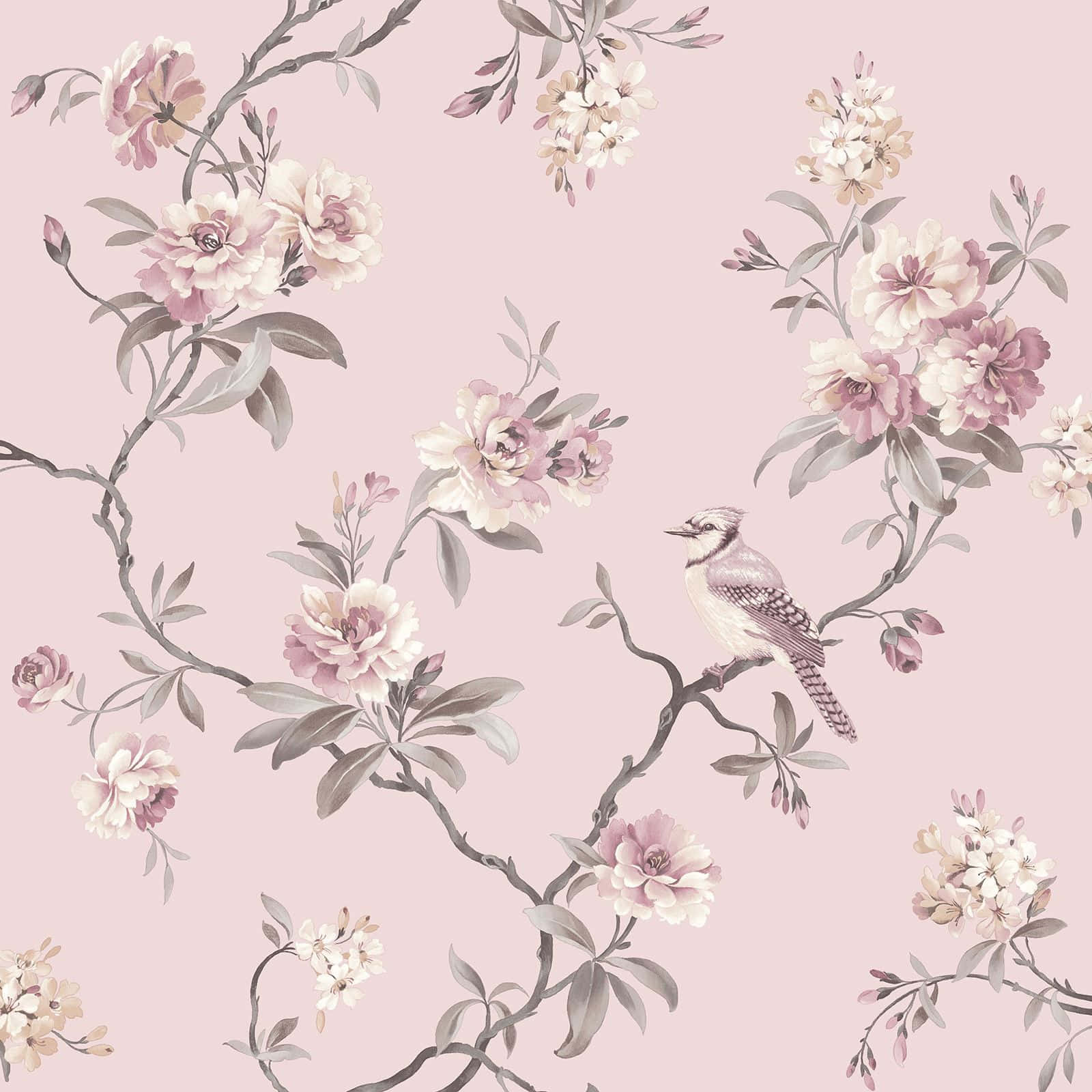 shabby chic, pale pink background, soft pink and gray blossoms, HD Desktop Wallpaper