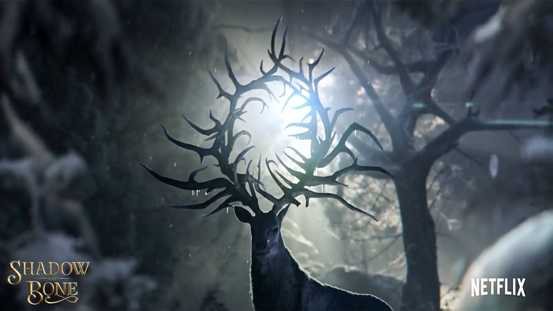 Shadow And Bone, moonlight deer, stag, Full HD Desktop Wallpaper