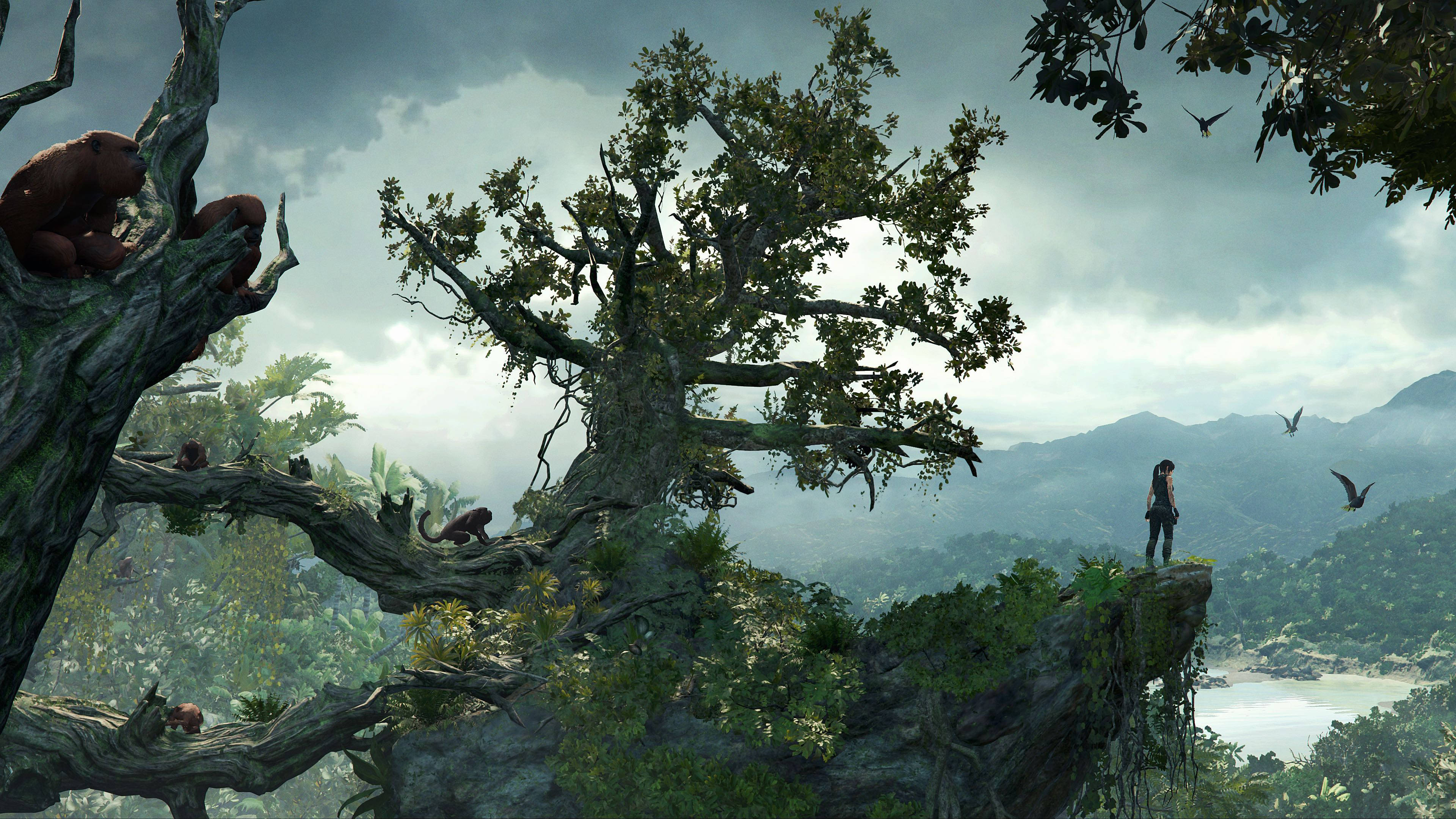 Shadow Of The Tomb Raider, cliffside, misty jungle valley, 4K Desktop Wallpaper