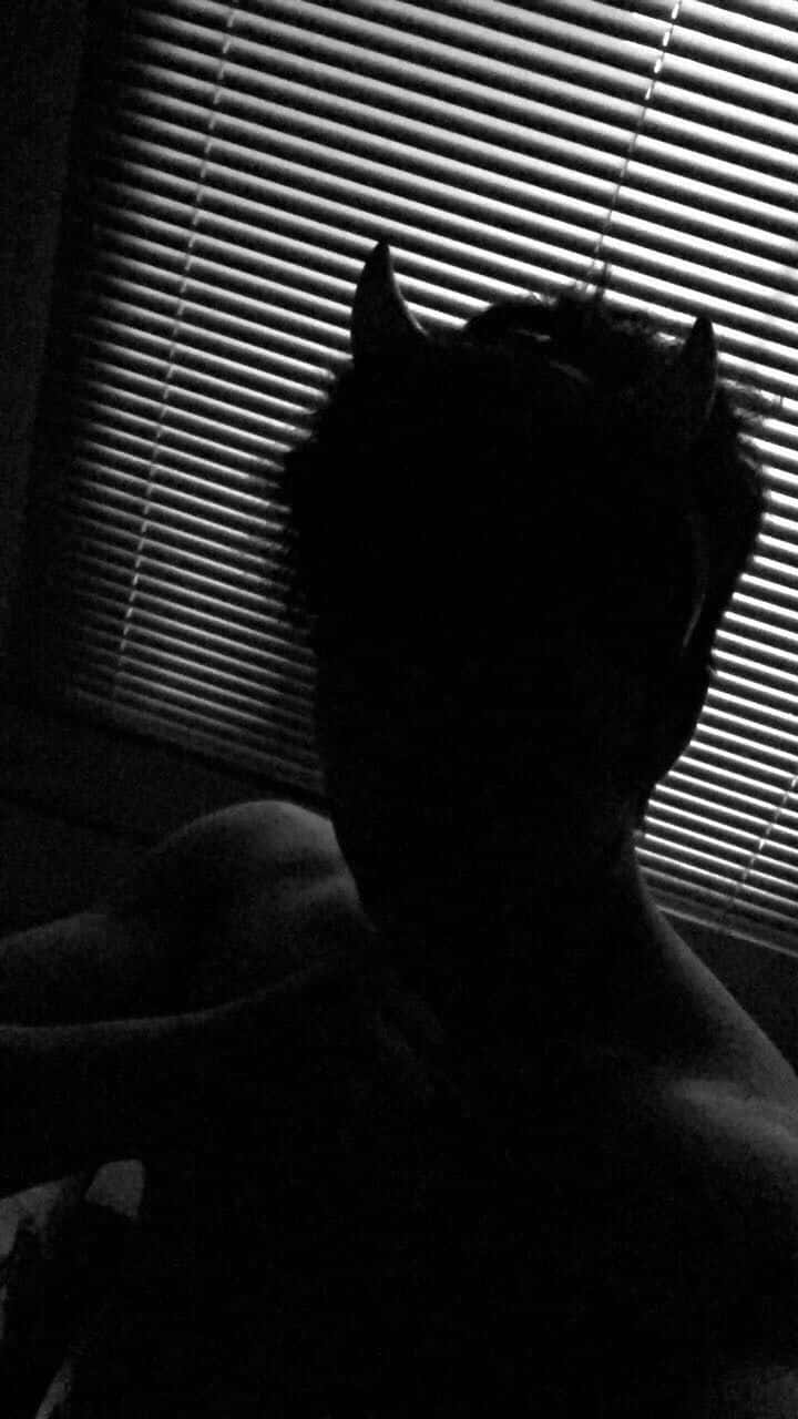 demon shadow pfp, blinds, devil horns, HD Phone Wallpaper