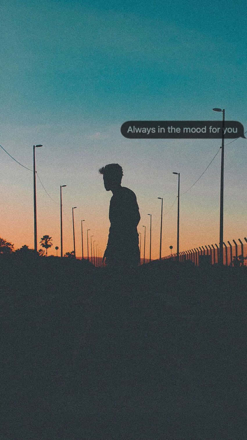 Shadow PFP, dusky sky, sunset, HD Phone Wallpaper