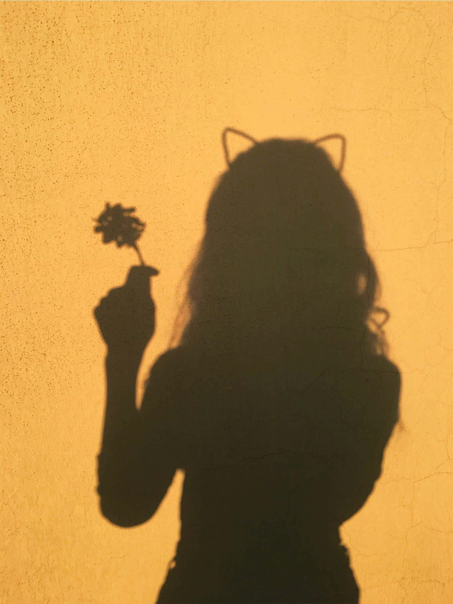 yellow aesthetic, shadow pfp, cat ears, Full HD Phone Wallpaper