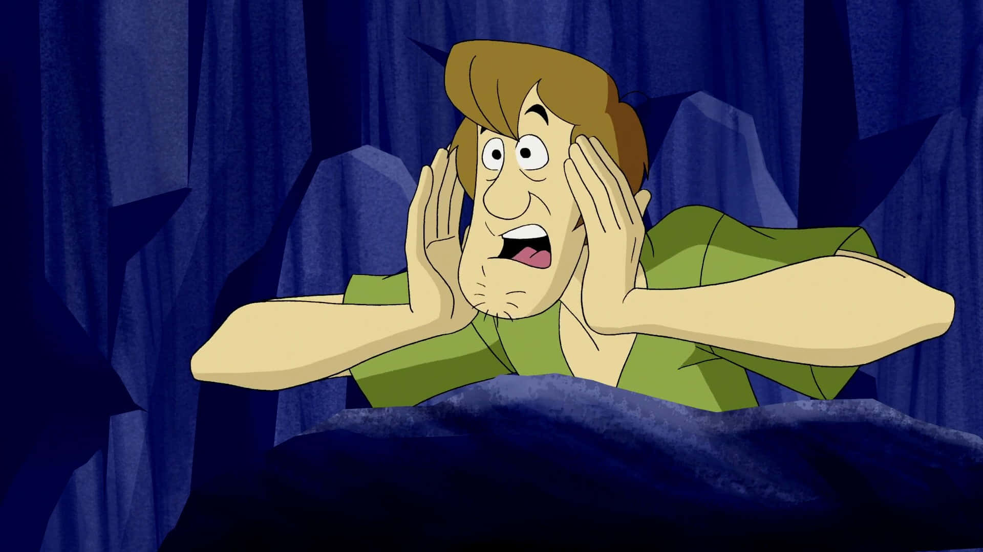 Shaggy Rogers, brown hair, green shirt, Full HD Desktop Wallpaper