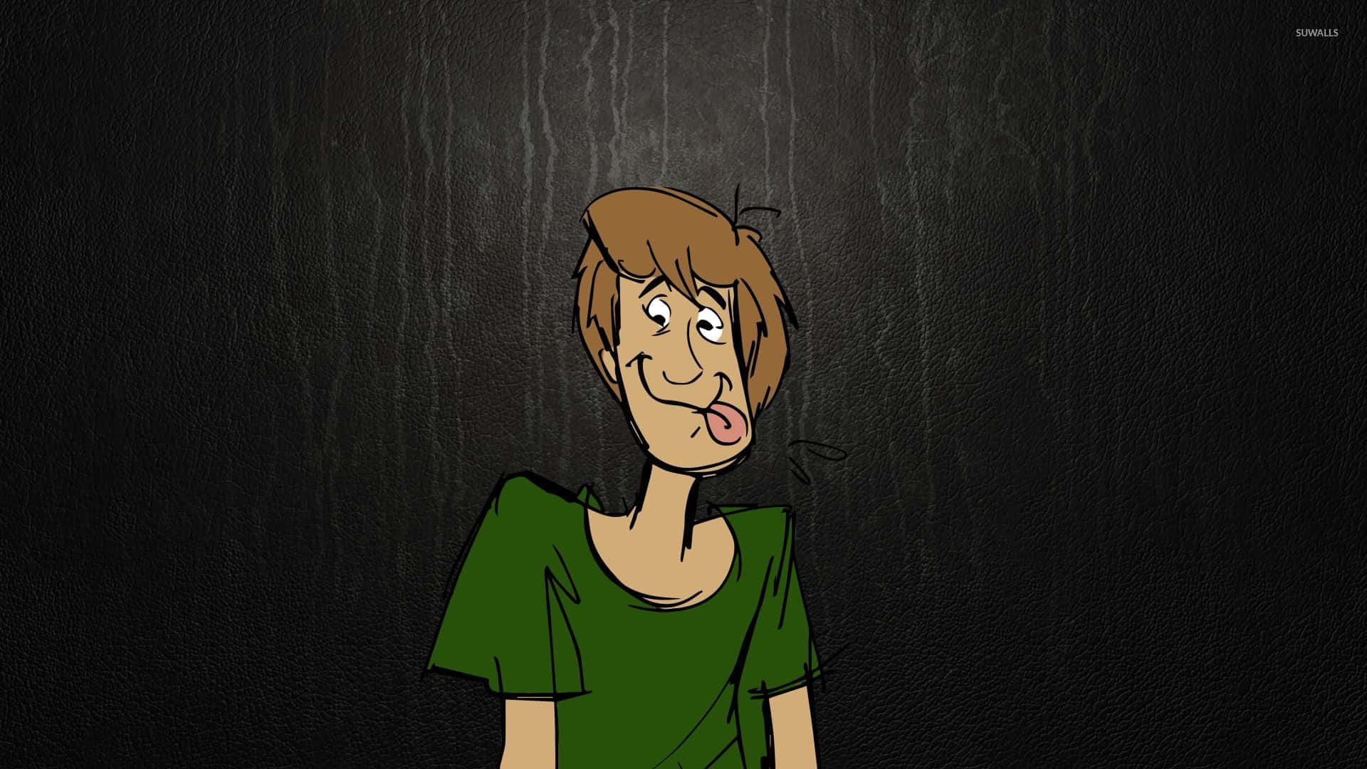 Shaggy Rogers, brown hair, green shirt, Full HD Desktop Wallpaper