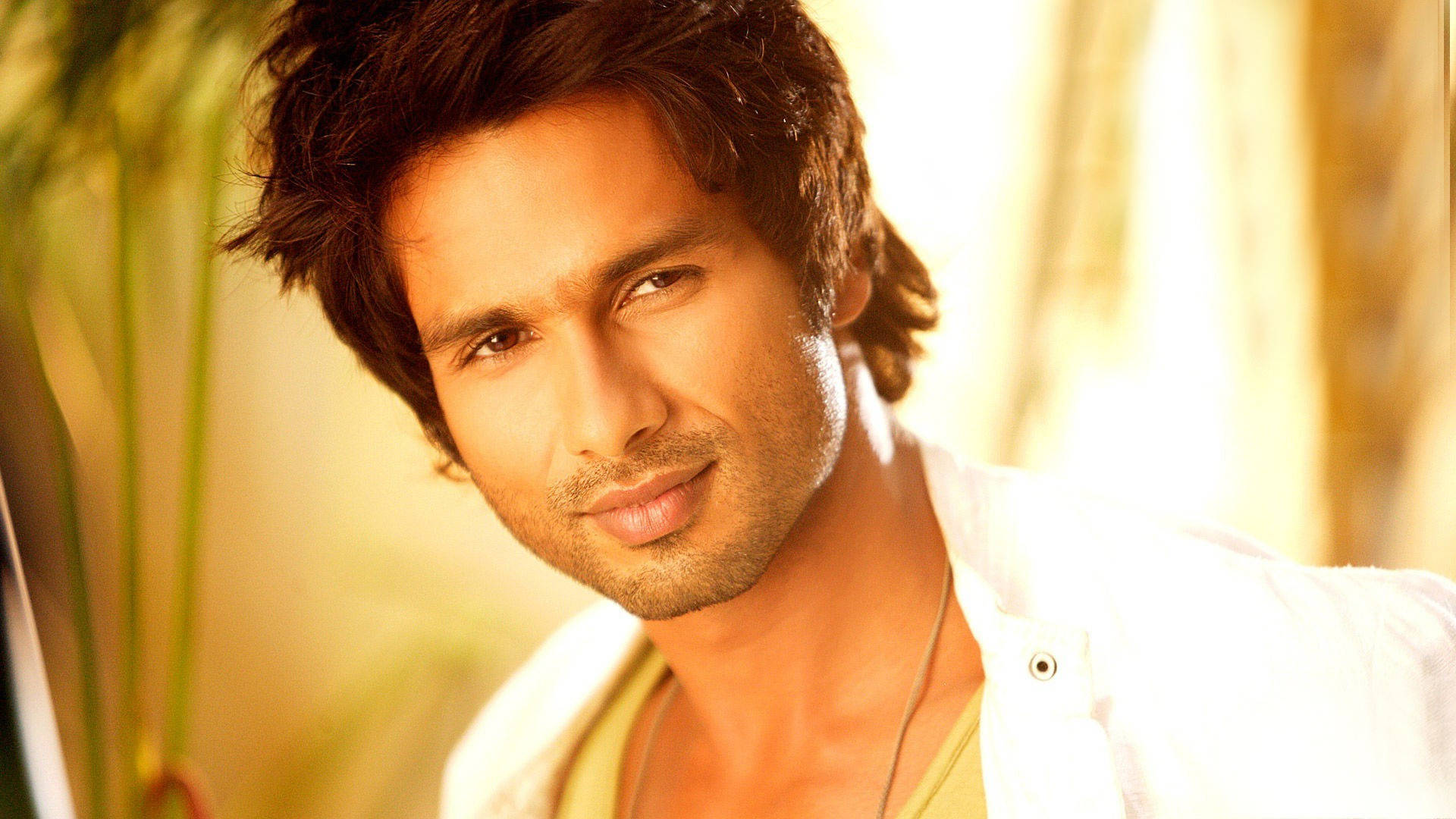 Shahid Kapoor, white shirt, soft golden background, Full HD Desktop Wallpaper