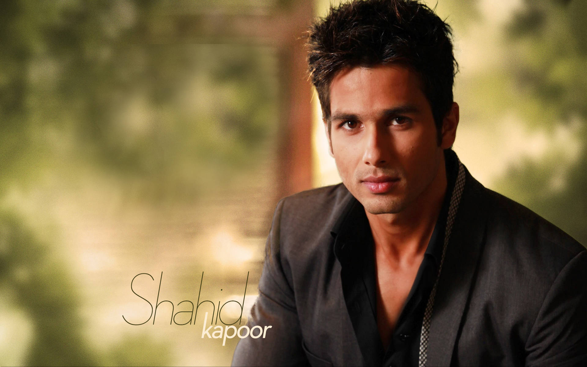 Shahid Kapoor, dark suit, soft blurred green background, Full HD Desktop Wallpaper