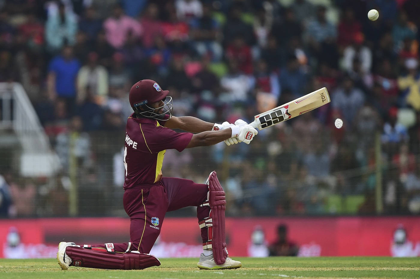 Shai Hope, maroon uniform, stadium lights, HD Desktop Wallpaper