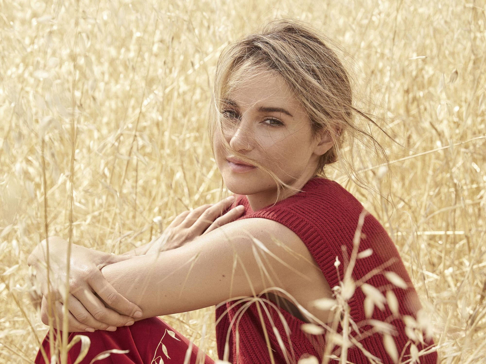 Shailene Woodley, red sweater, field of tall golden grass, Full HD Desktop Wallpaper