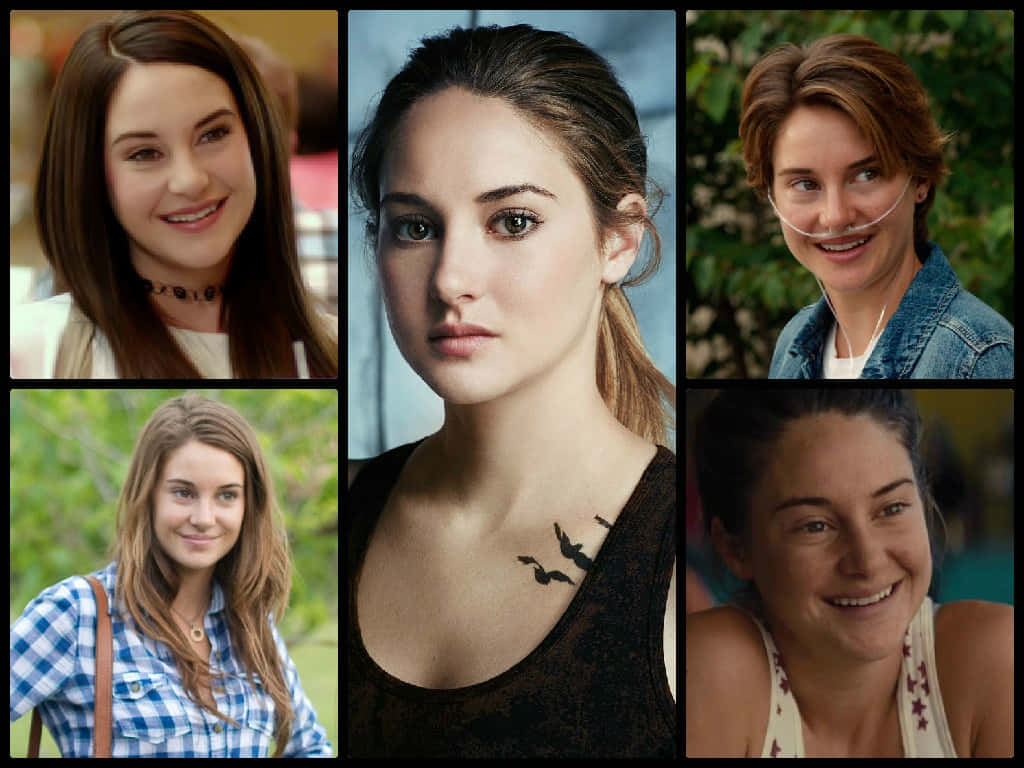Shailene Woodley, various roles, collage, SD Desktop Wallpaper