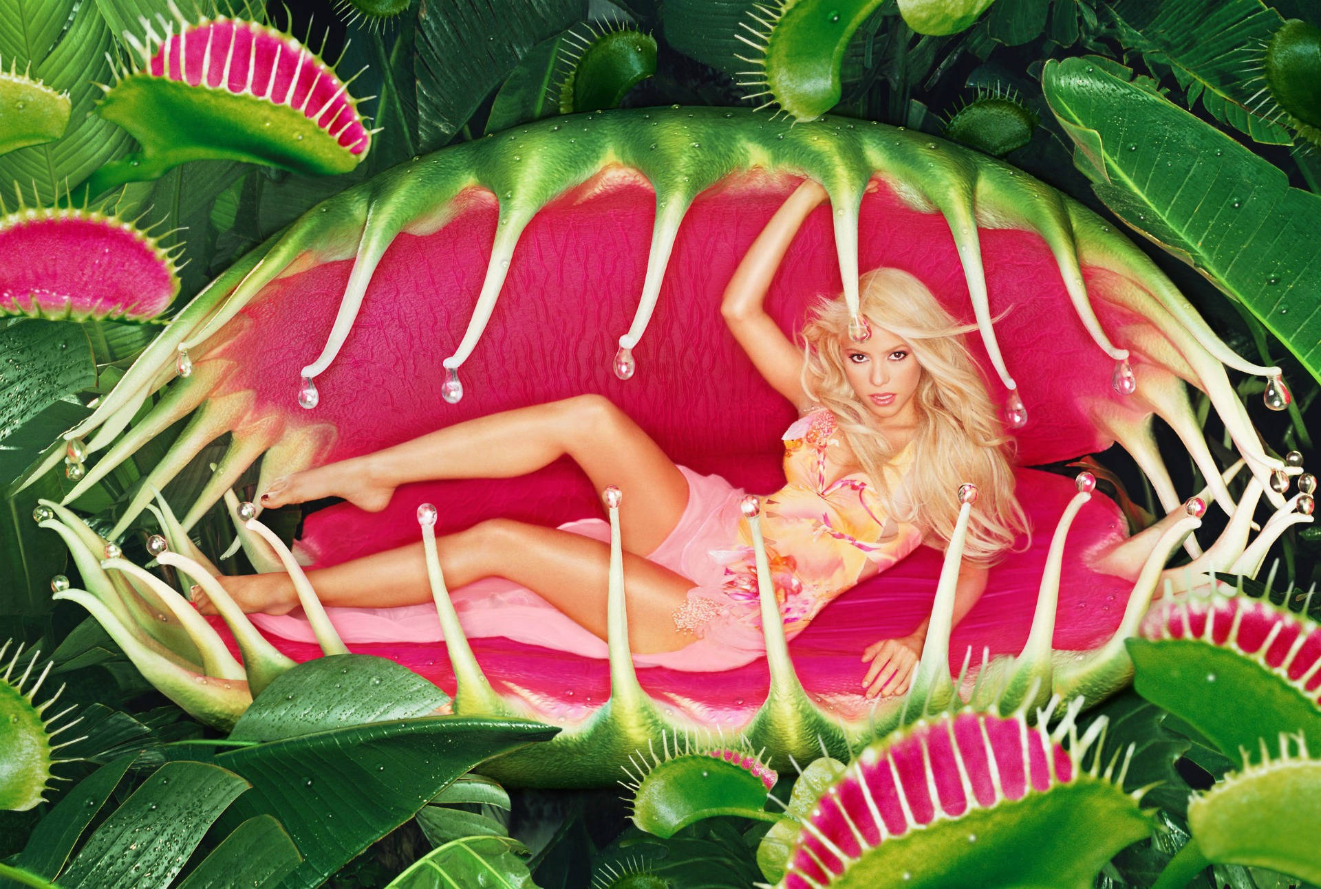 Shakira, Venus flytrap, pink, Full HD Desktop Wallpaper