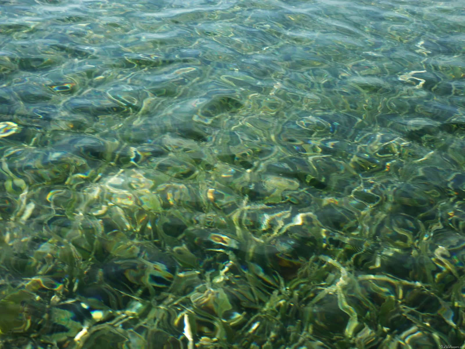 emerald green, shallow water, sunlight, HD Desktop Wallpaper