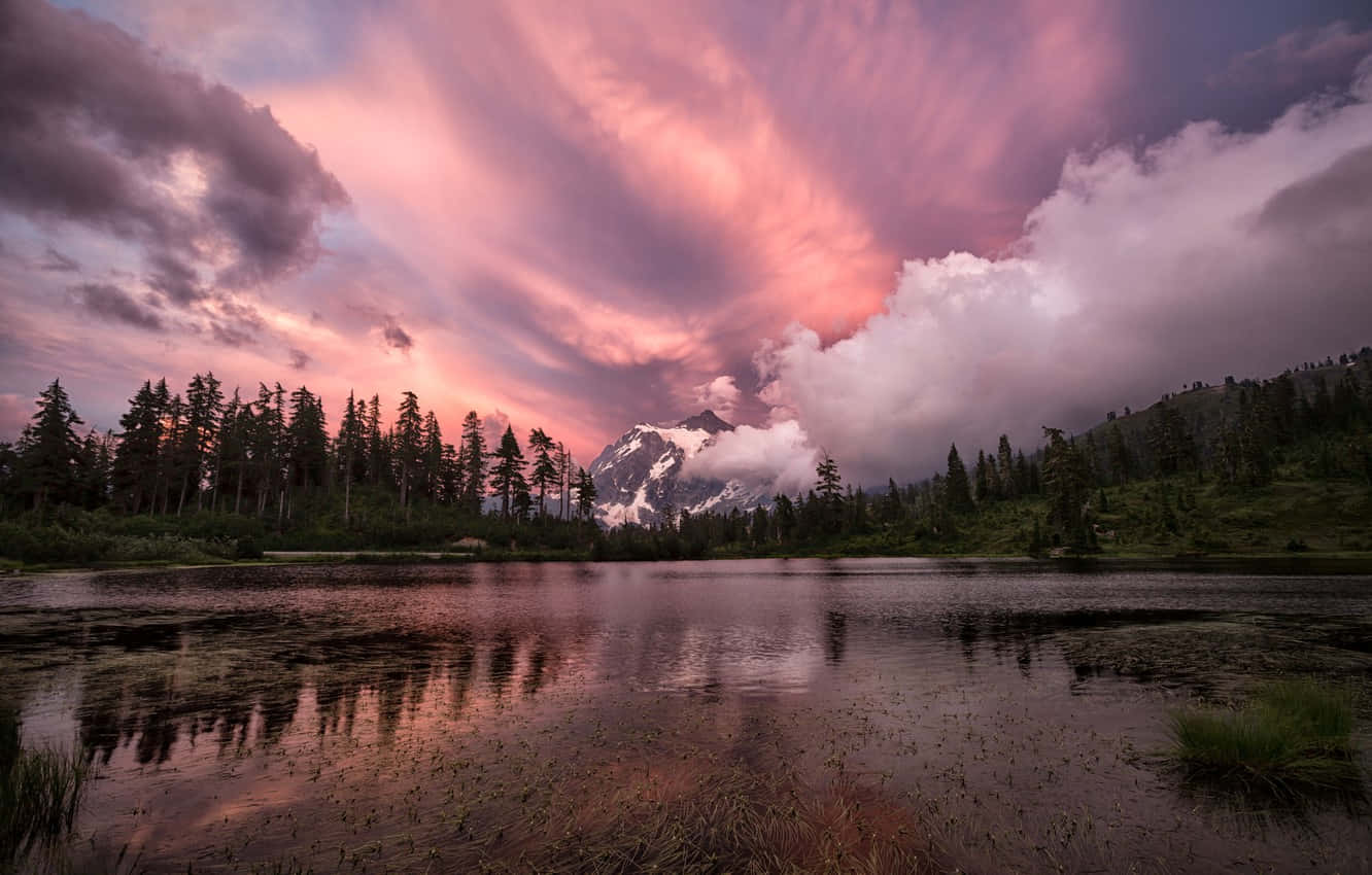 shallow lake scenery, pink and purple sunset, towering evergreens, HD Desktop Wallpaper