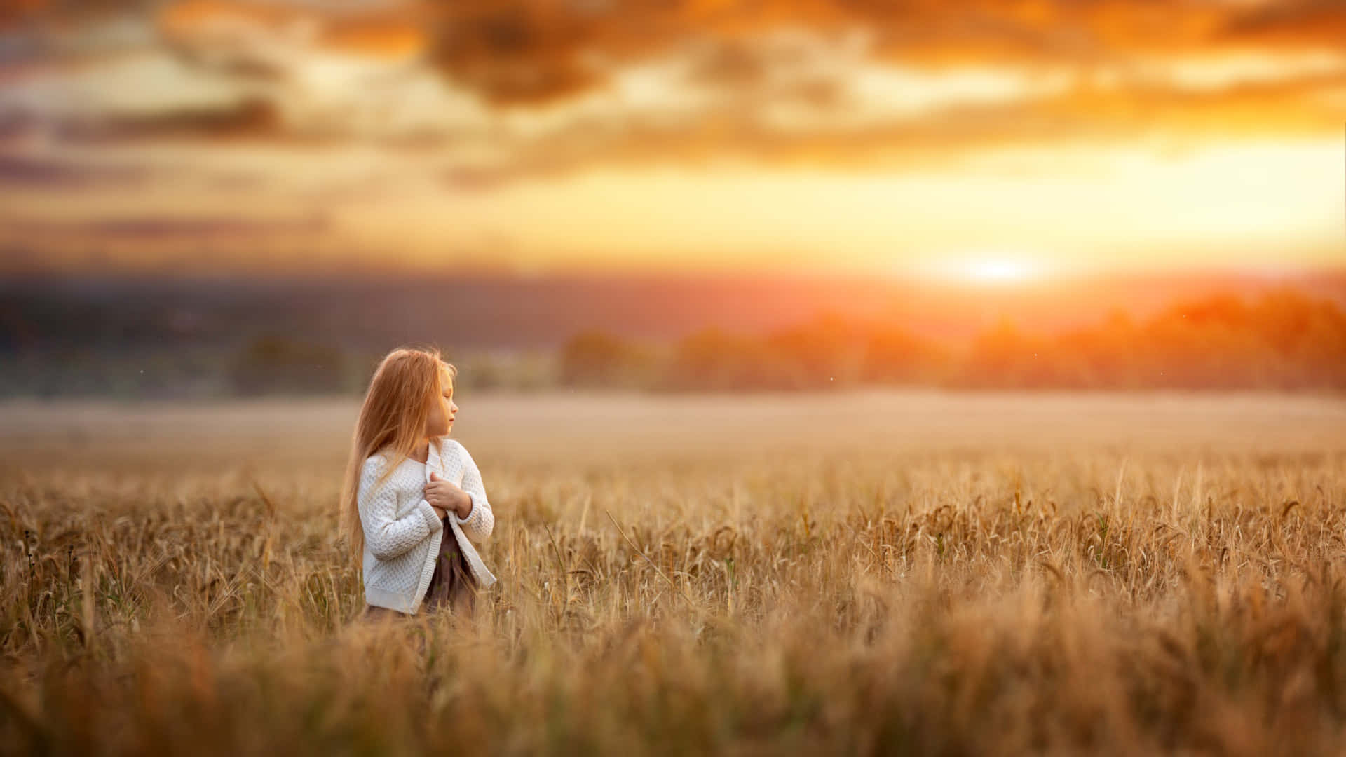 golden hour, shallow photography, white sweater, Full HD Desktop Wallpaper