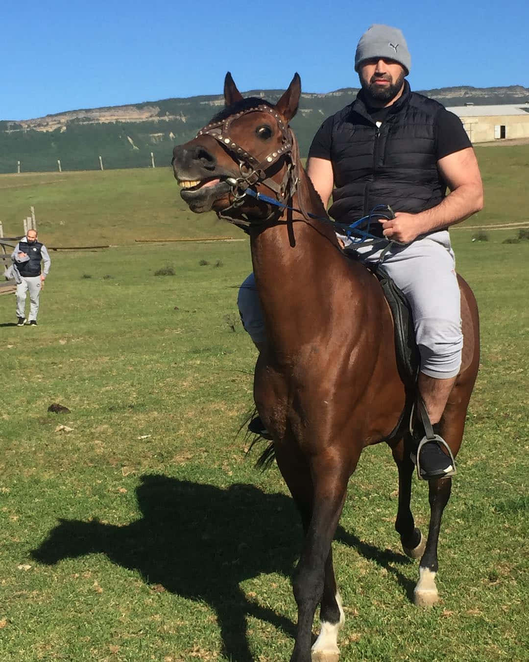 Shamil Abdurakhimov, brown horse, white socks, HD Phone Wallpaper