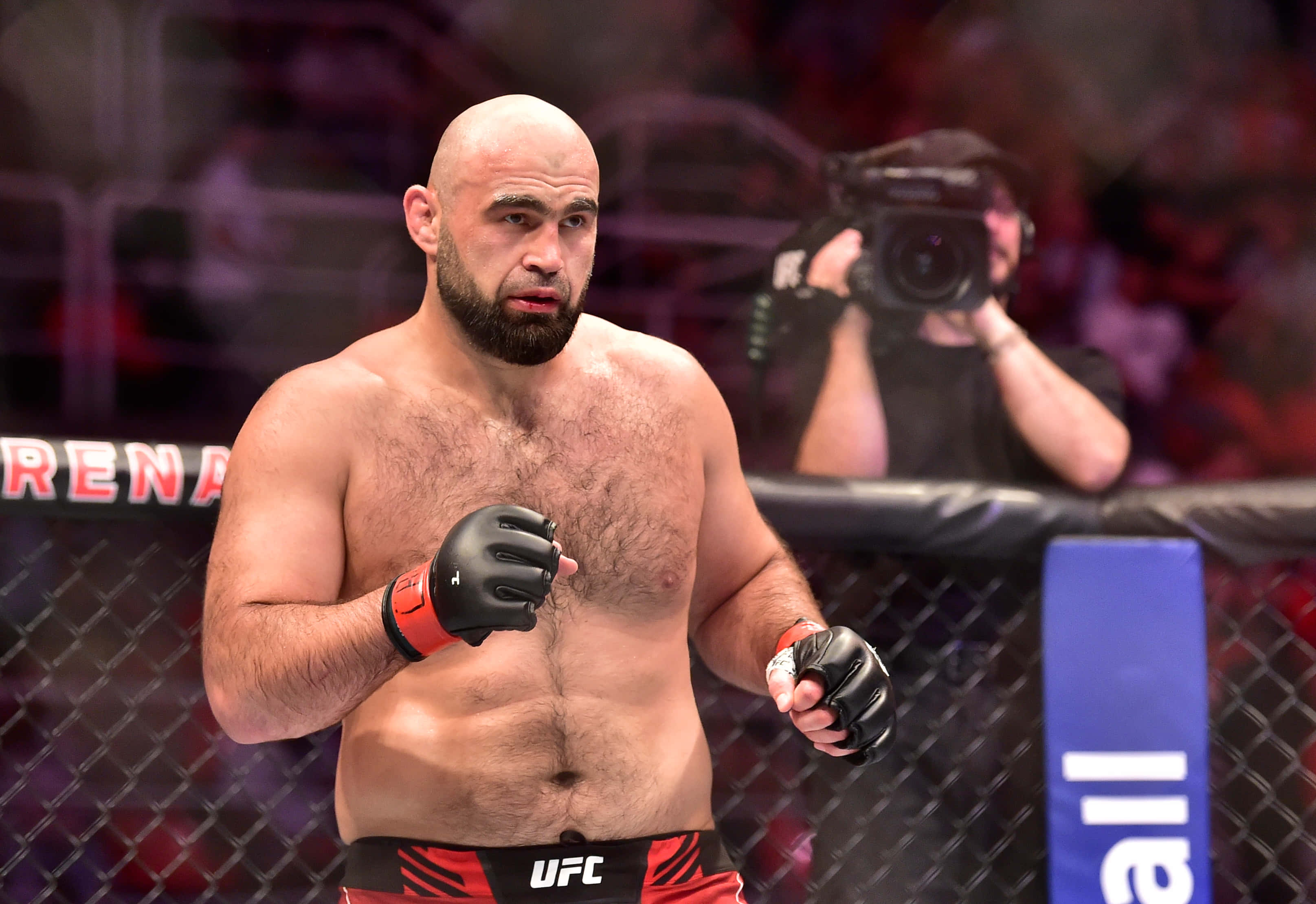 Shamil Abdurakhimov, black gloves, red UFC shorts, 2K Desktop Wallpaper