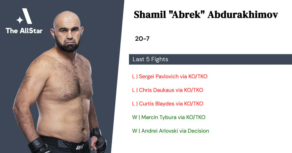 Shamil Abdurakhimov, MMA gloves, fight record, SD Desktop Wallpaper