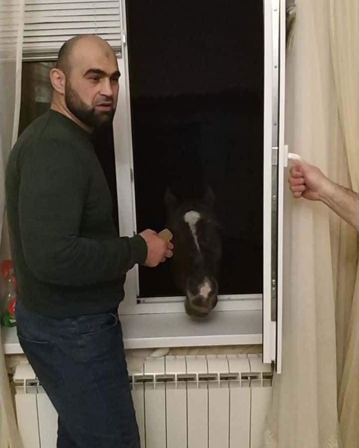 Shamil Abdurakhimov, horse, dark sweater, SD Phone Wallpaper