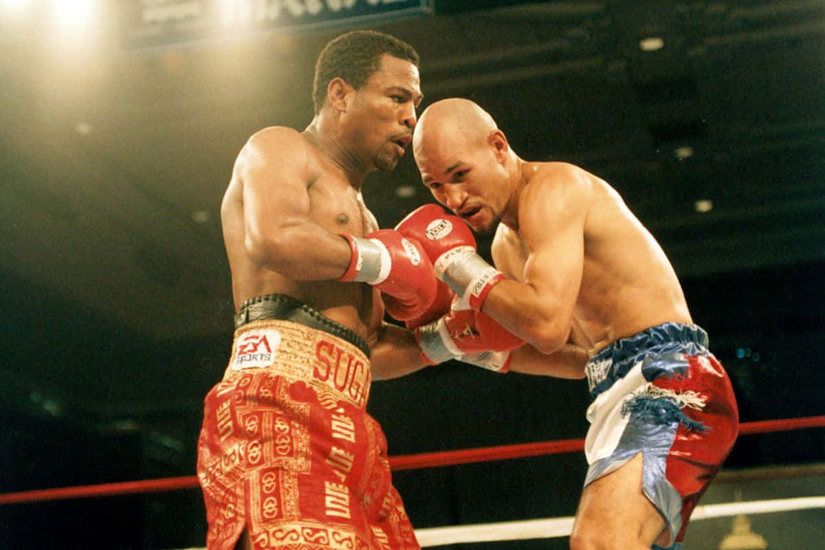 Shane Mosley, opponent, ring, SD Desktop Wallpaper