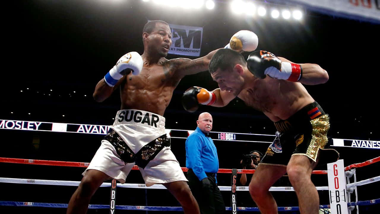 Shane Mosley, missing punch, brightly lit ring, HD Desktop Wallpaper