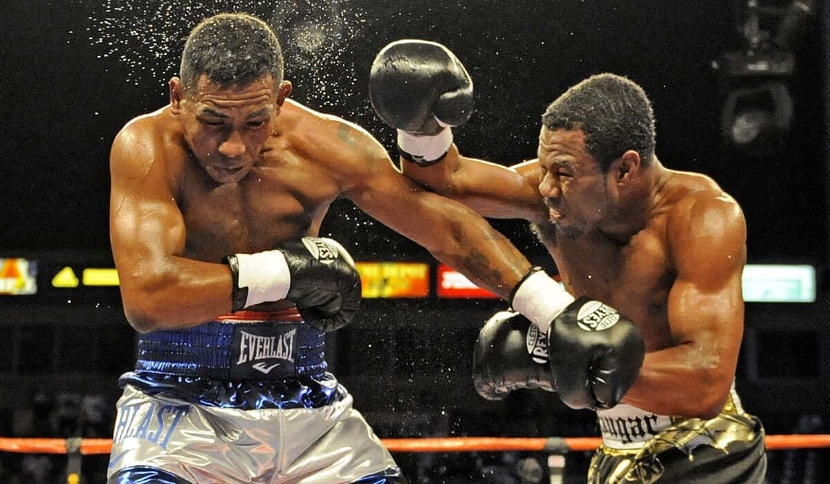 Shane Mosley, rain-splattered ring, muscular boxers, SD Desktop Wallpaper