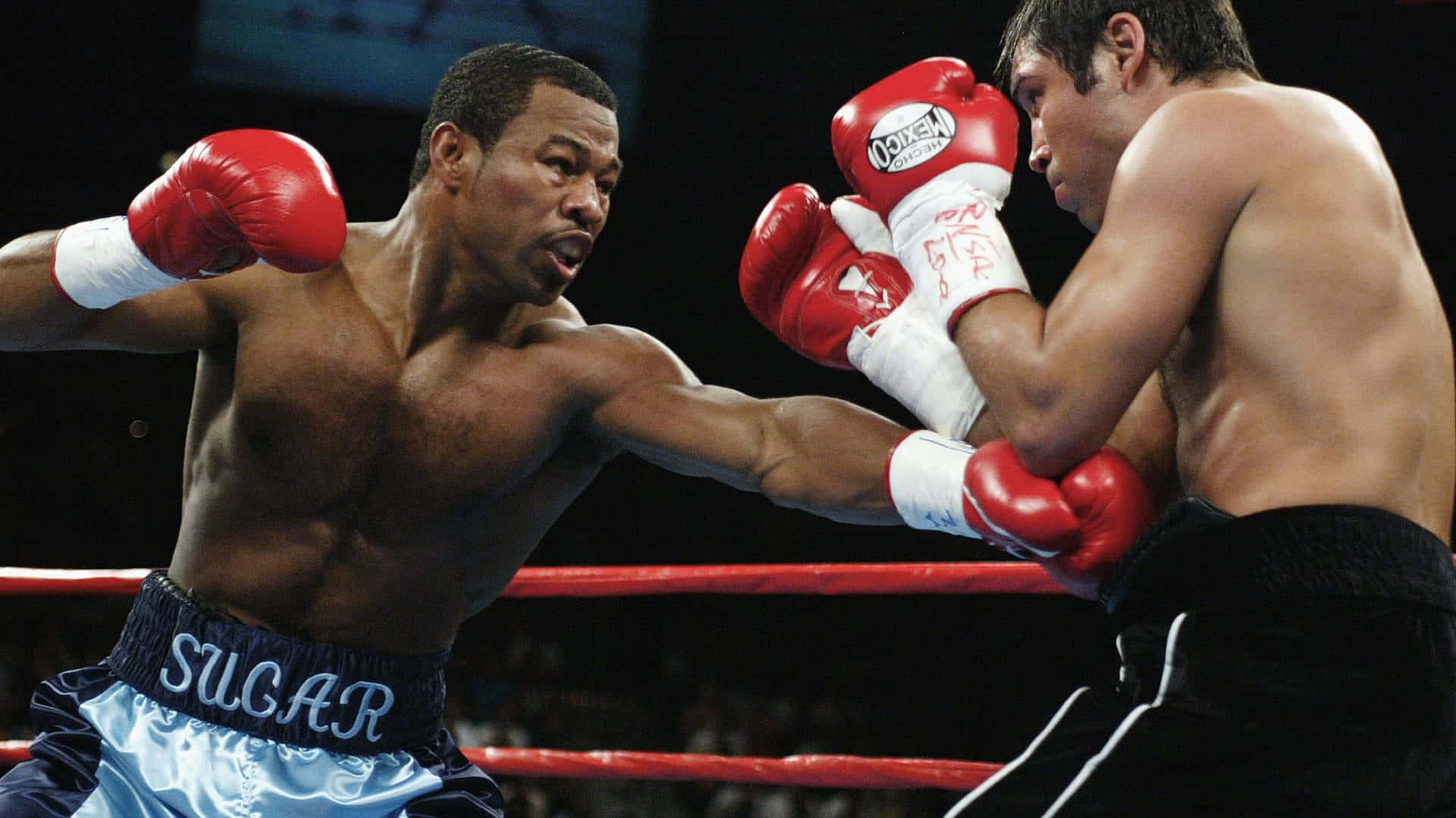 Shane Mosley, strong left hook, red gloves, Full HD Desktop Wallpaper