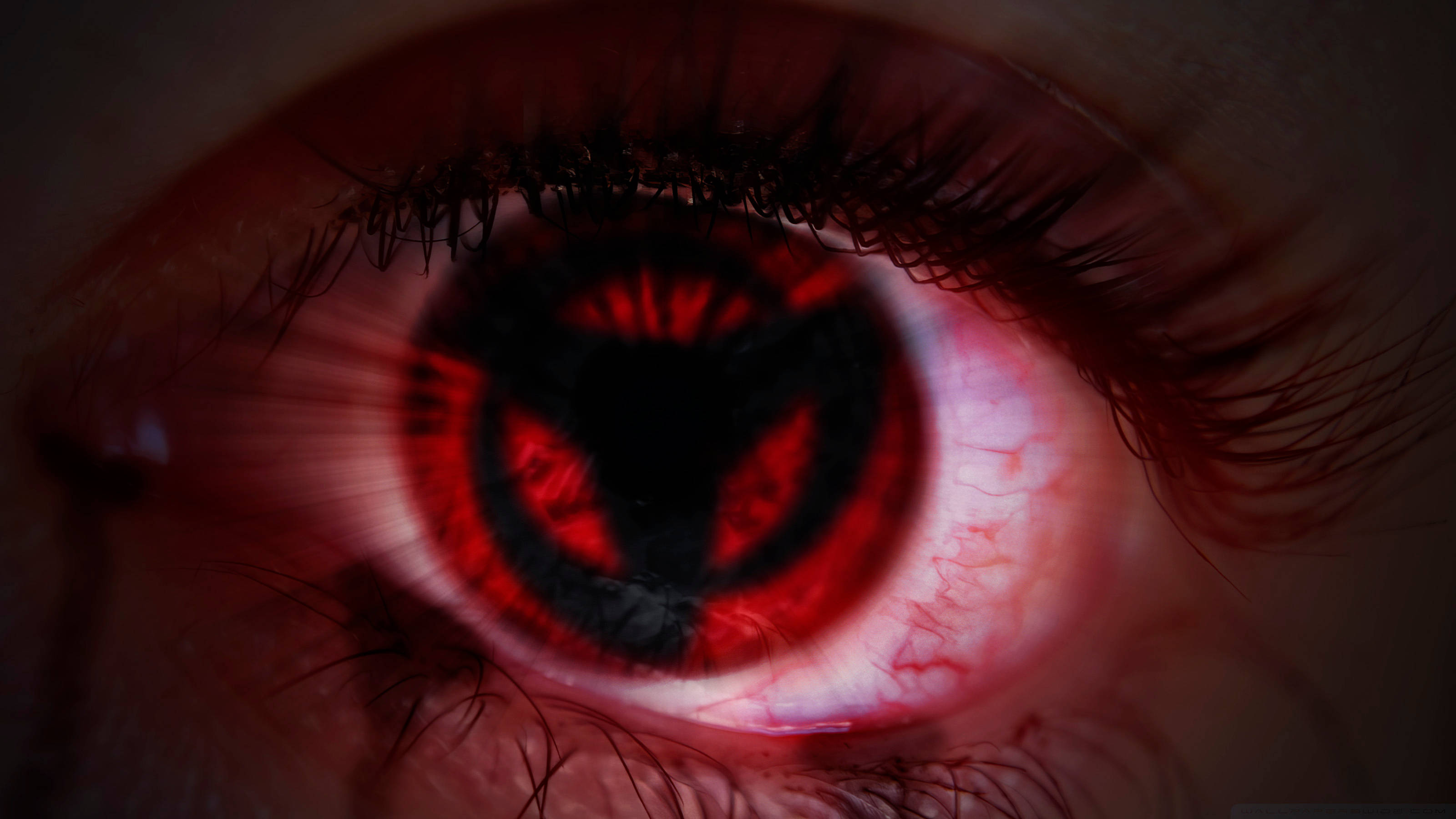 Sharingan Live, red eye, glowing red iris, 2K Desktop Wallpaper