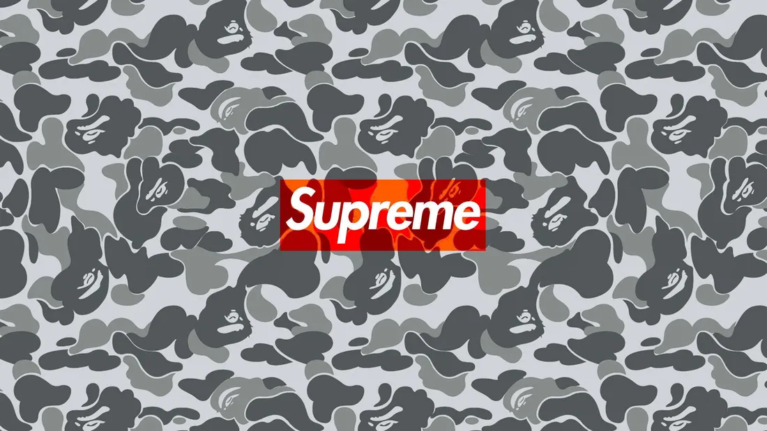 Shark Bape