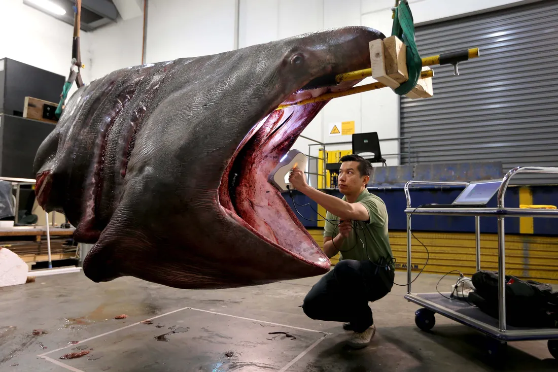 Shark Tank
