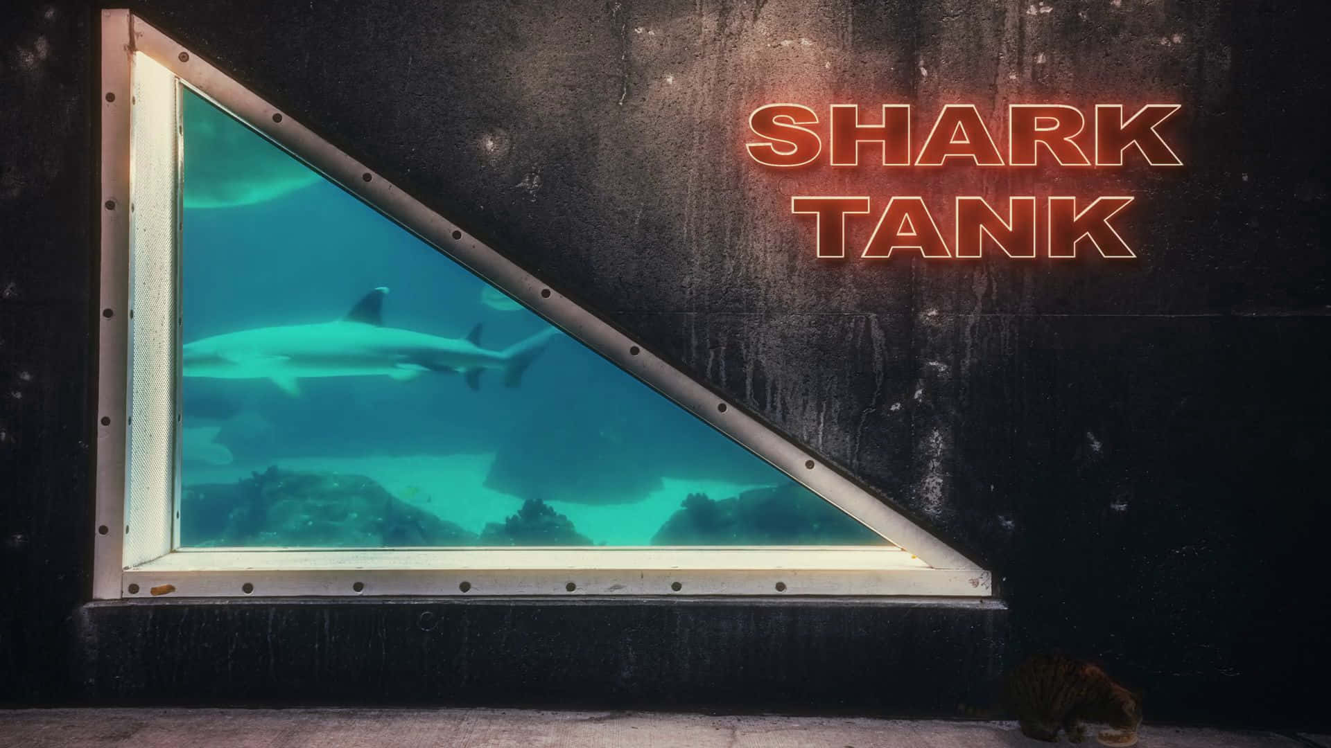 Shark Tank, turquoise water, triangular porthole, Full HD Desktop Wallpaper