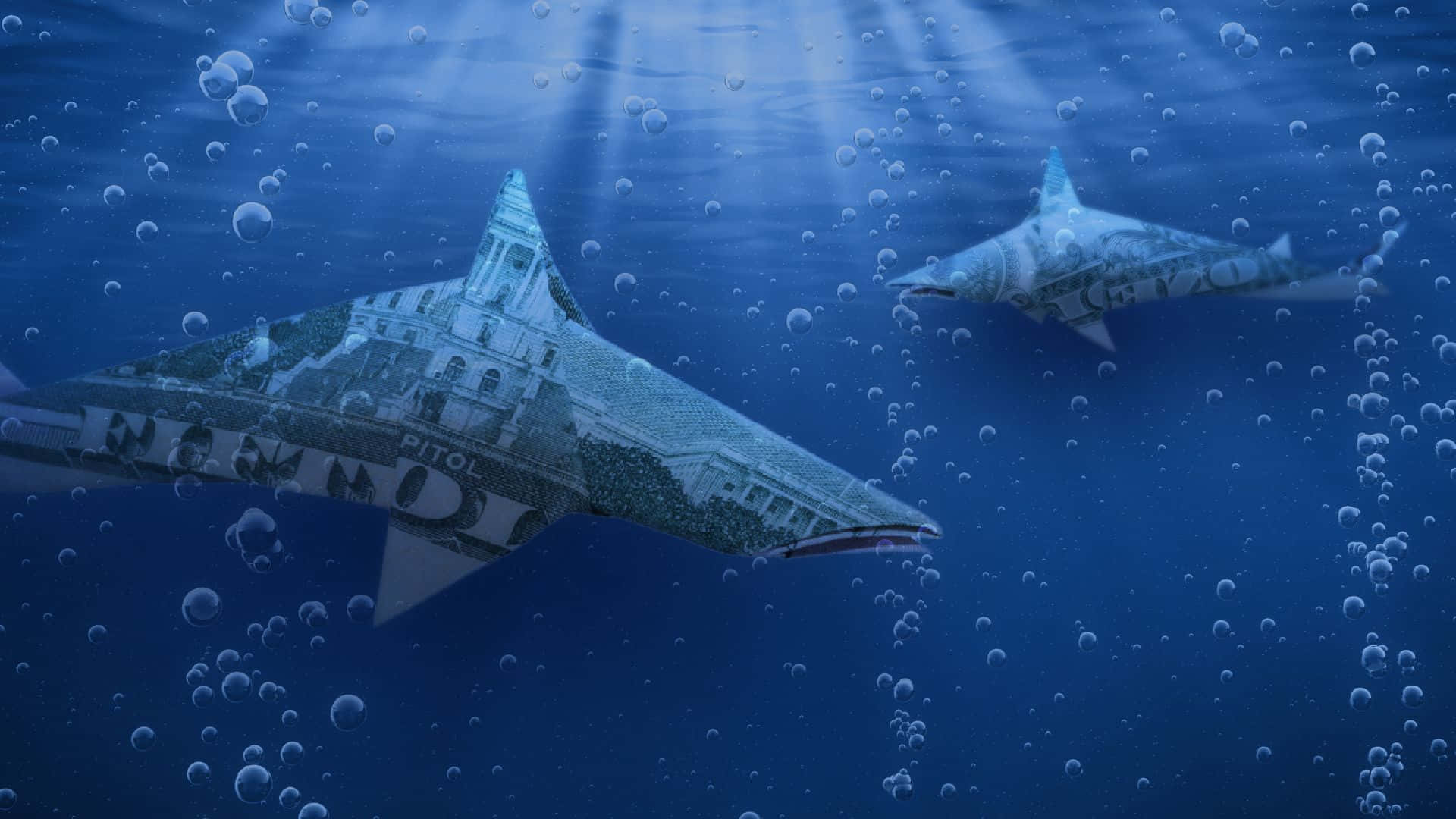 Shark Tank, dollar bills, deep blue water, Full HD Desktop Wallpaper
