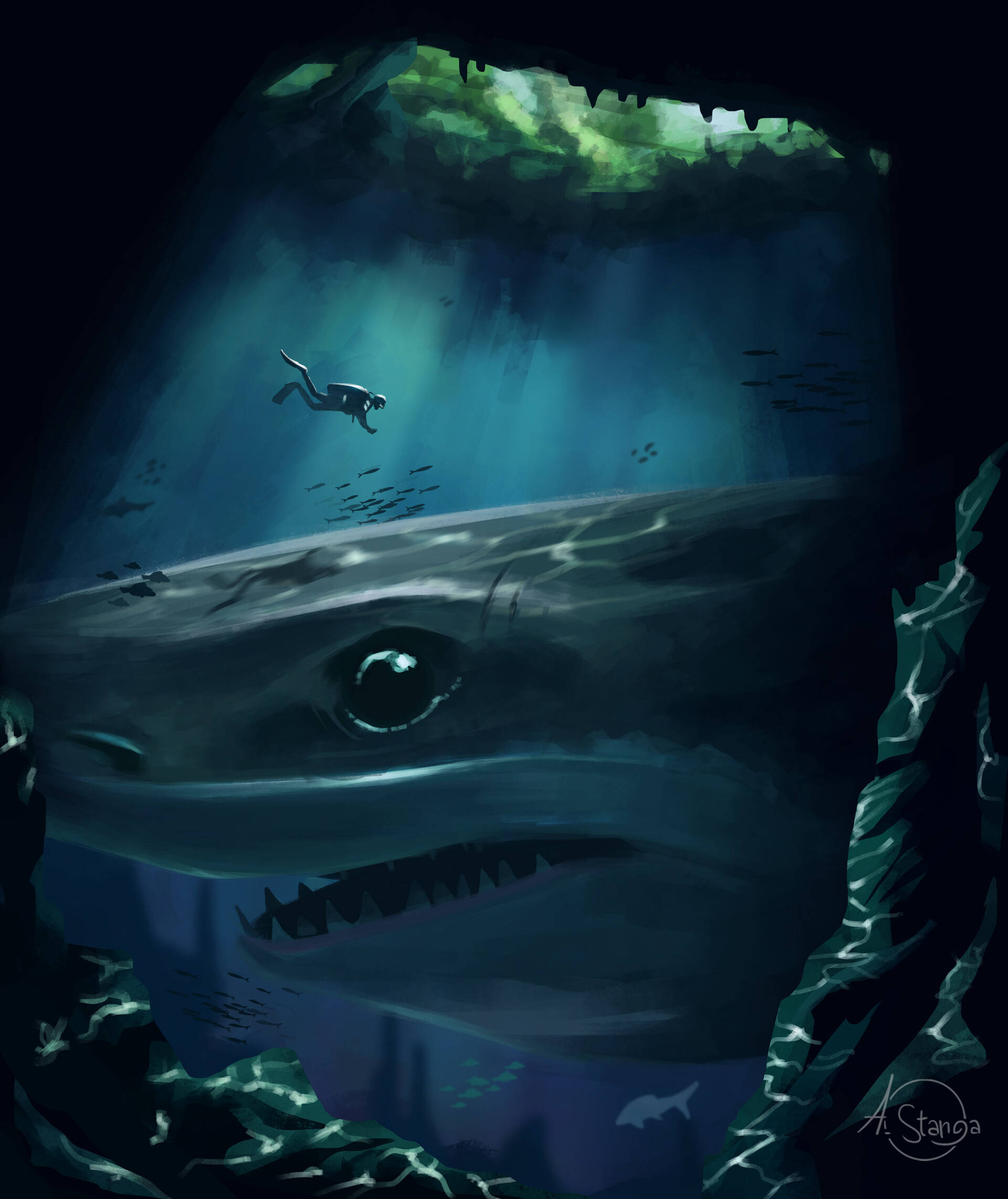 diver, shark, blue-green water, Full HD Phone Wallpaper