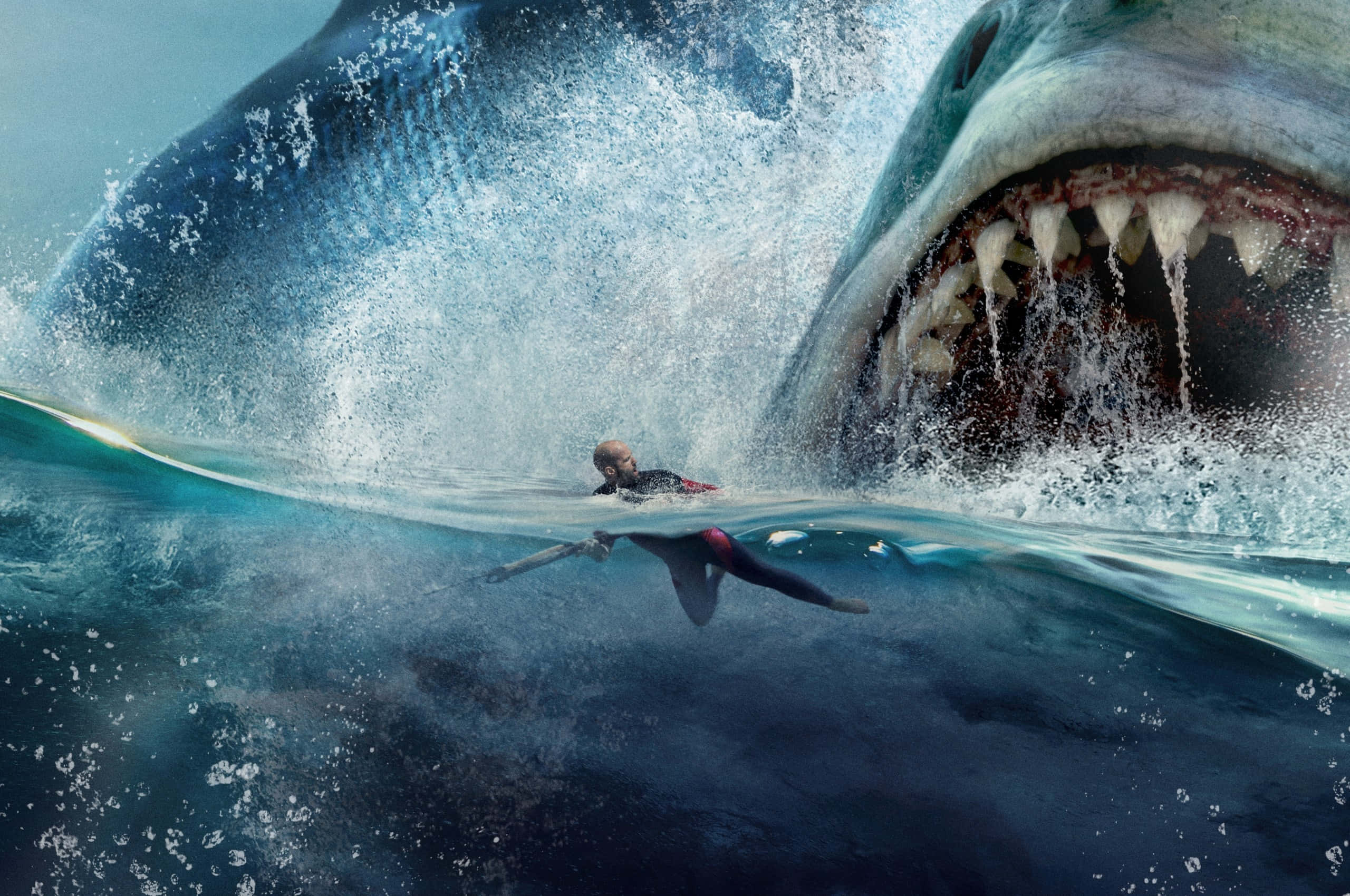 Scary Shark, surfer, wetsuit, 2K Desktop Wallpaper