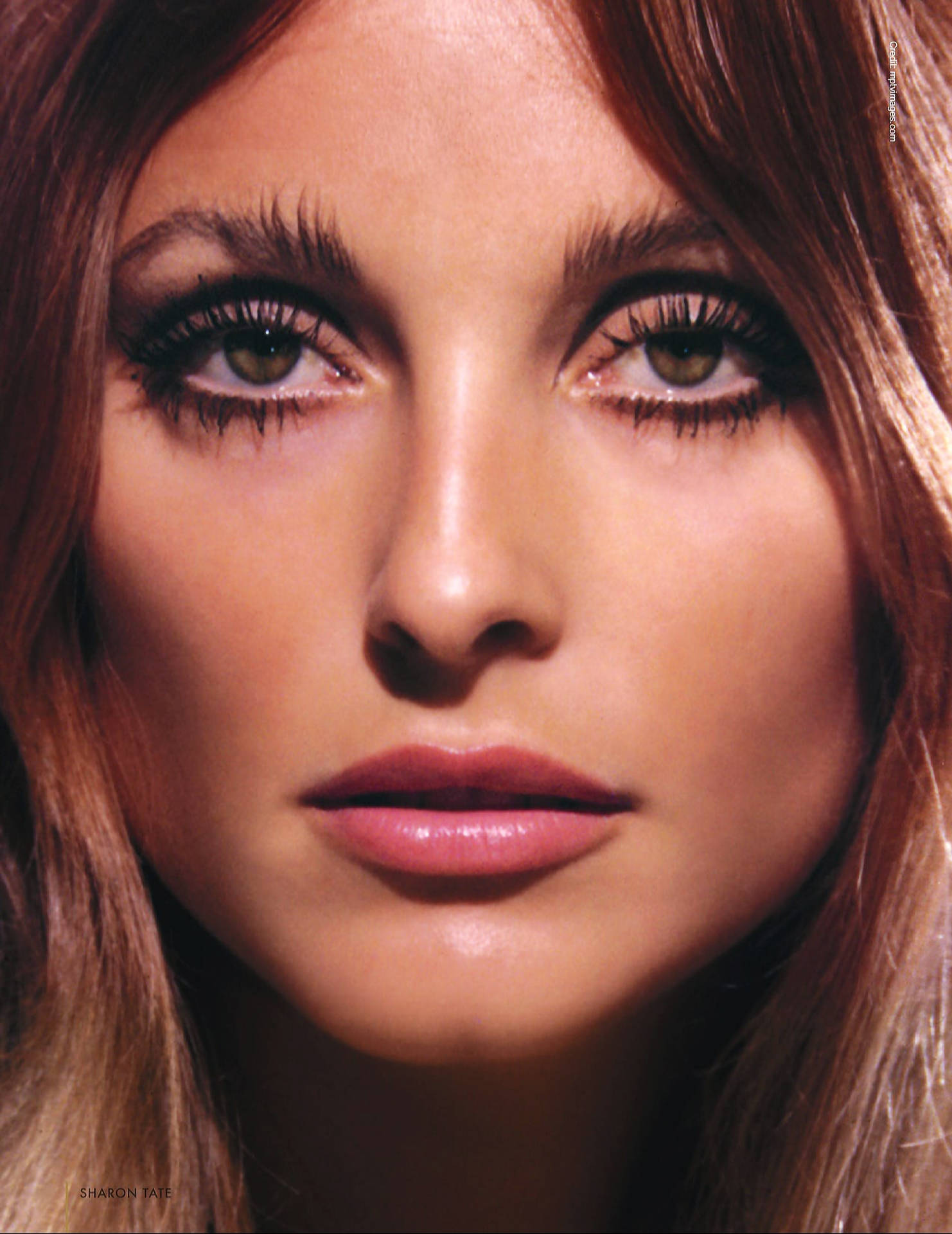 Sharon Tate, green eyes, soft brown hair, Full HD Phone Wallpaper