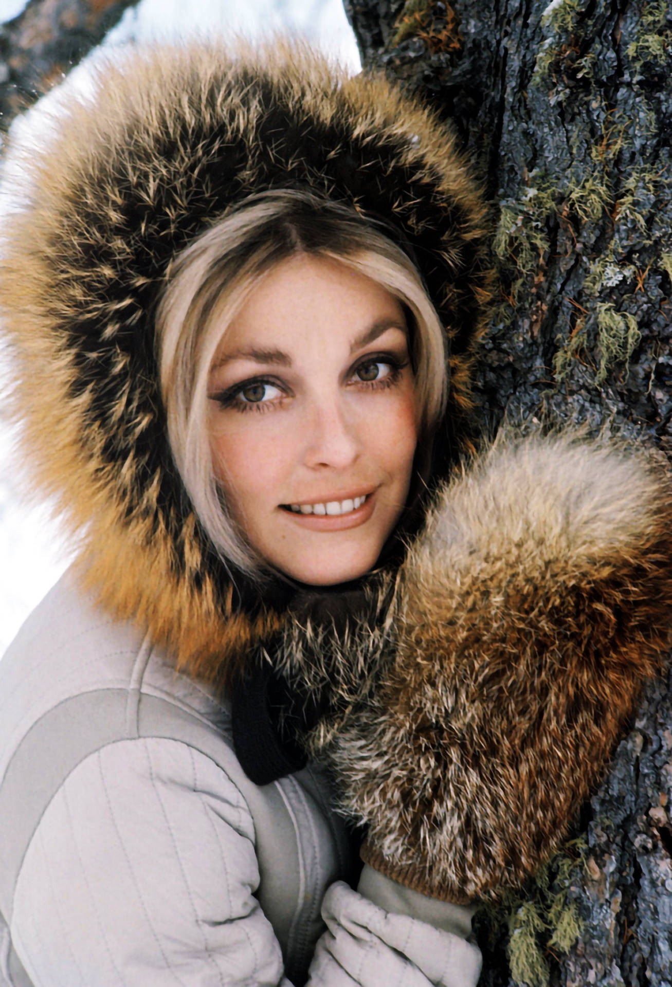 Sharon Tate, snowy surroundings, mossy tree, Full HD Phone Wallpaper