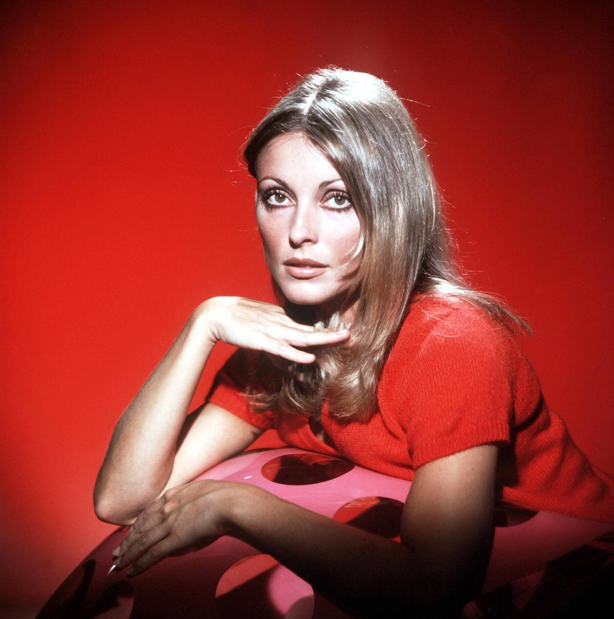 Sharon Tate, red sweater, vibrant red backdrop, Full HD Phone Wallpaper