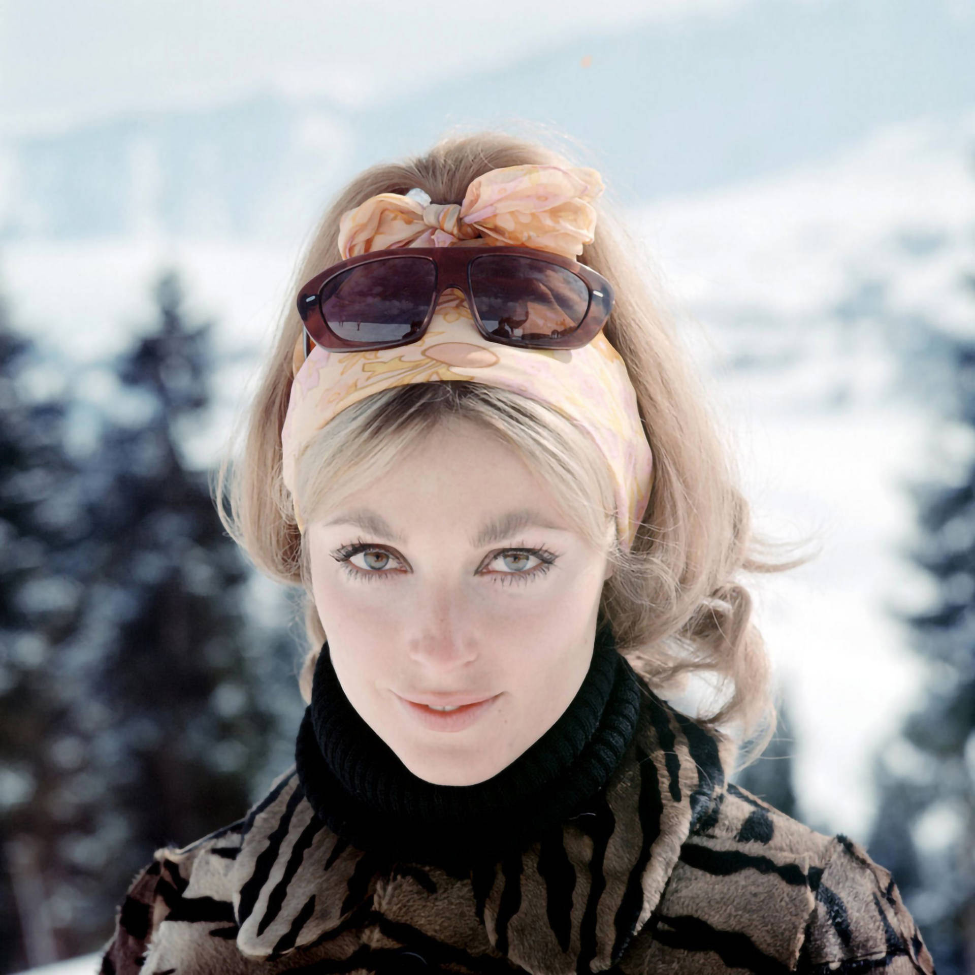 Sharon Tate, snowy mountain backdrop, blonde hair, Full HD Desktop Wallpaper